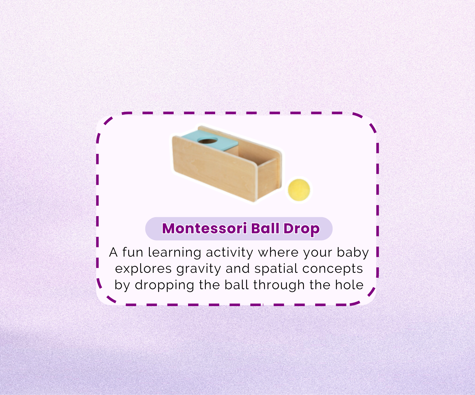 Montessori Educational Box (11-12 Months)