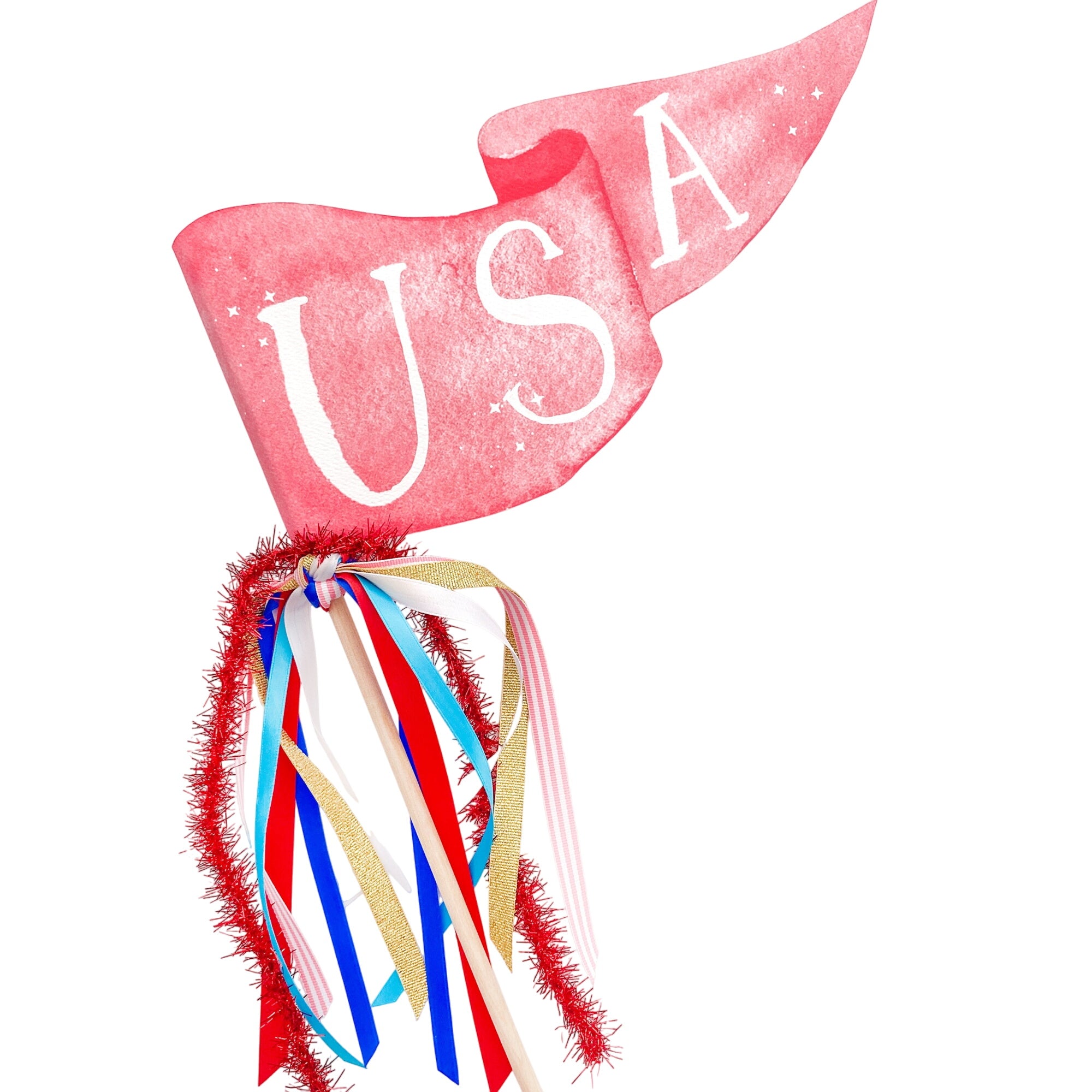 Usa Party Pennant