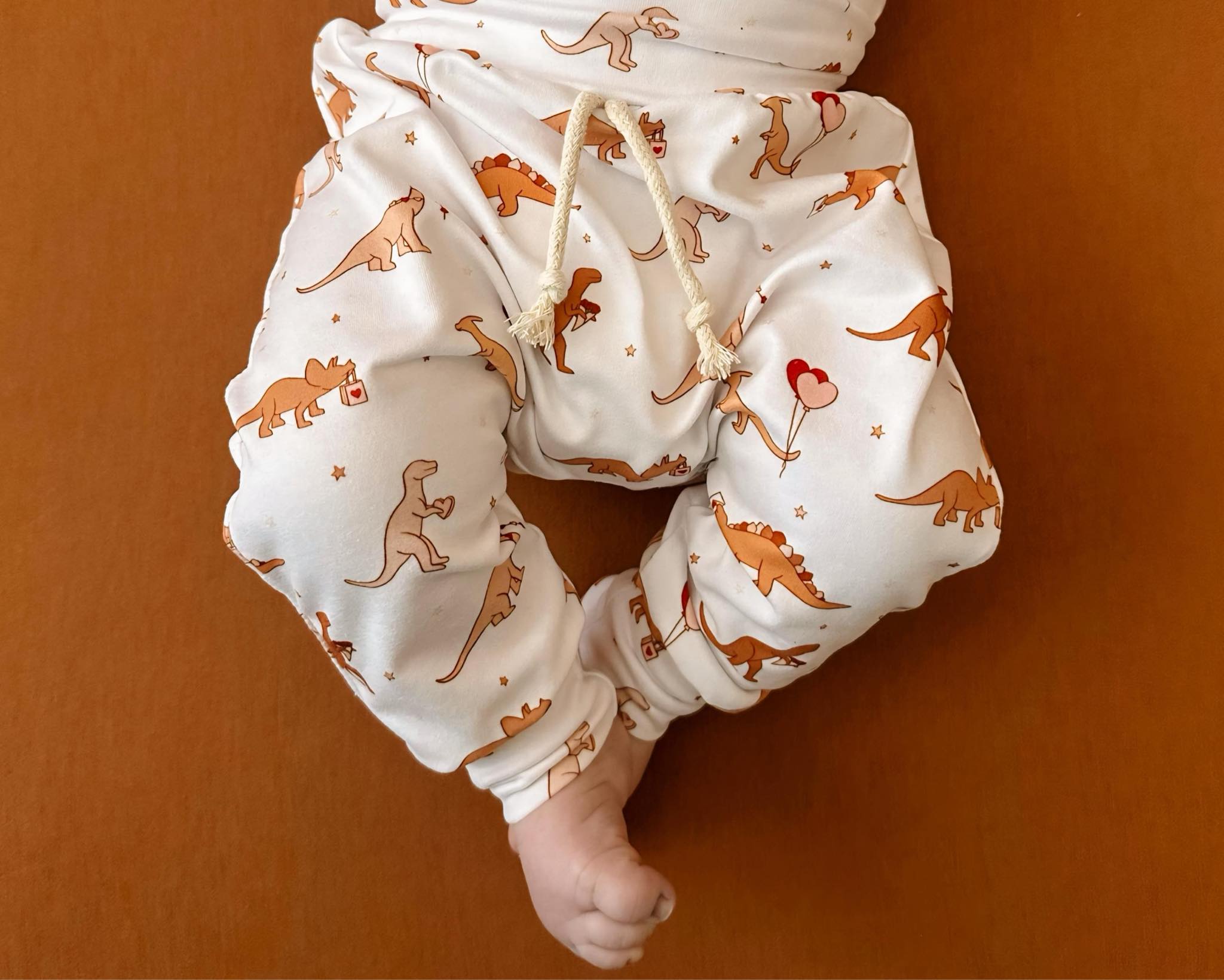 Valentines Day Mr. Steal Your Heart Dino Jogger Outfit