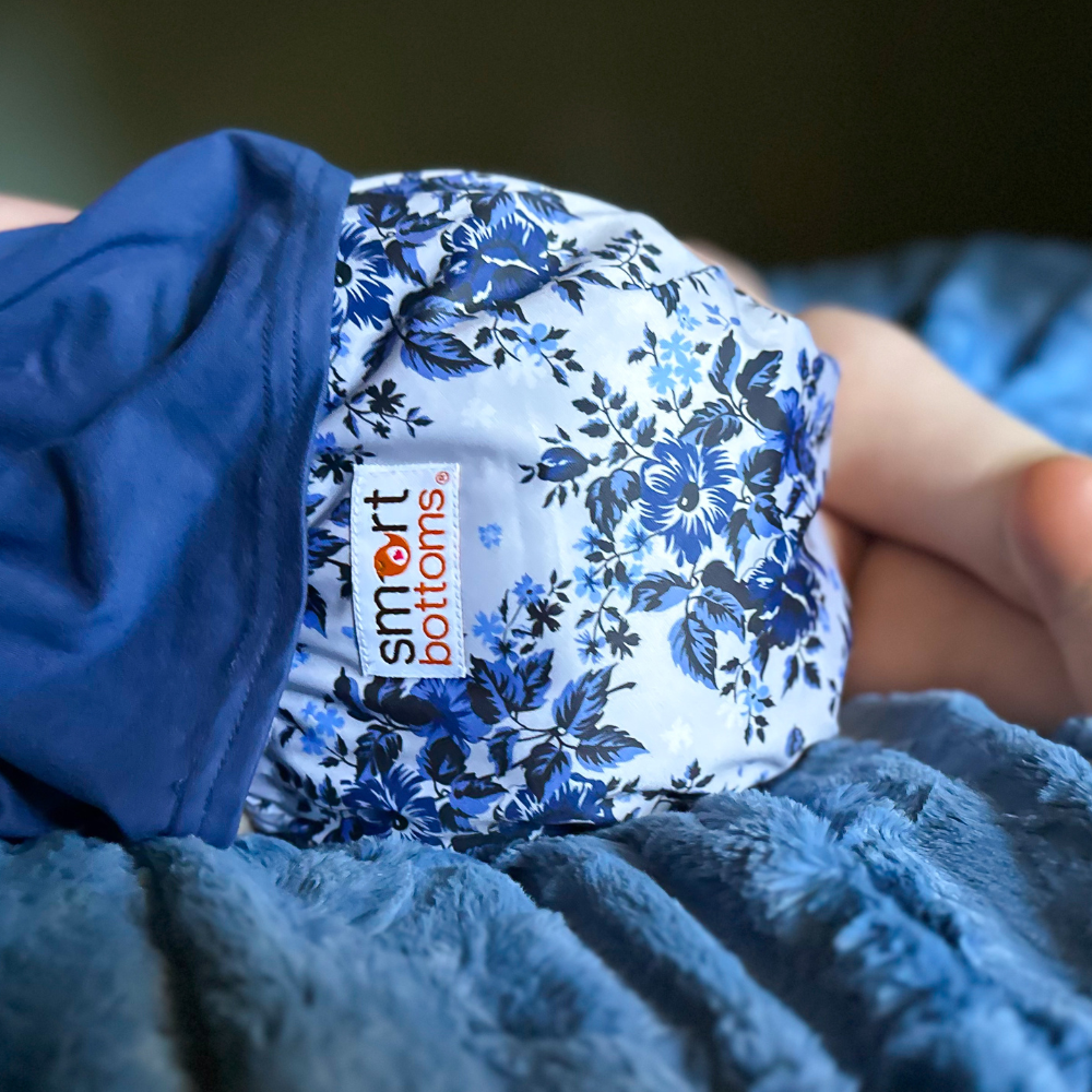 Dream Diaper 3.0 Natural Fiber Pocket Diaper - Anastasia