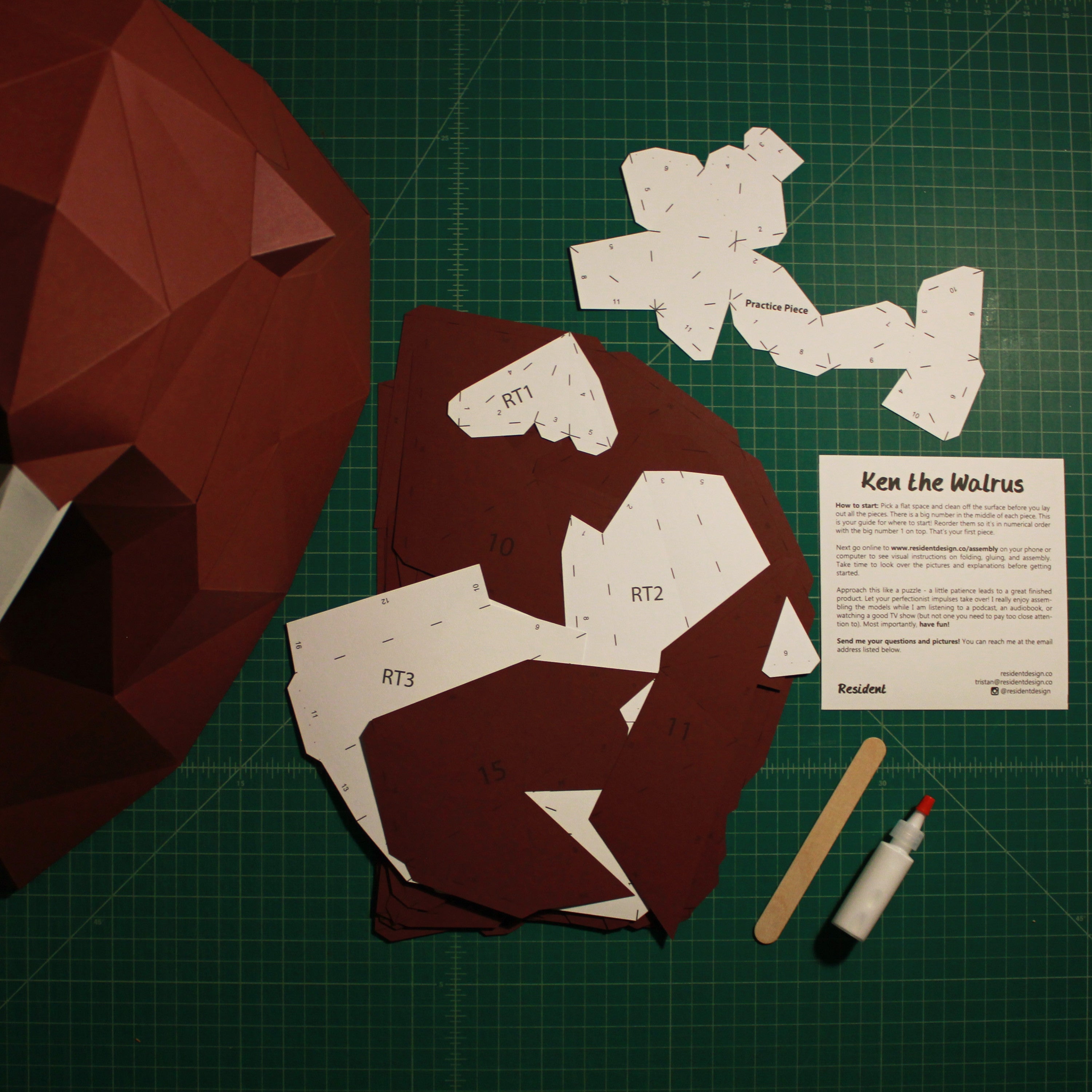 Ken The Walrus | Diy Paper Craft Animal Kit
