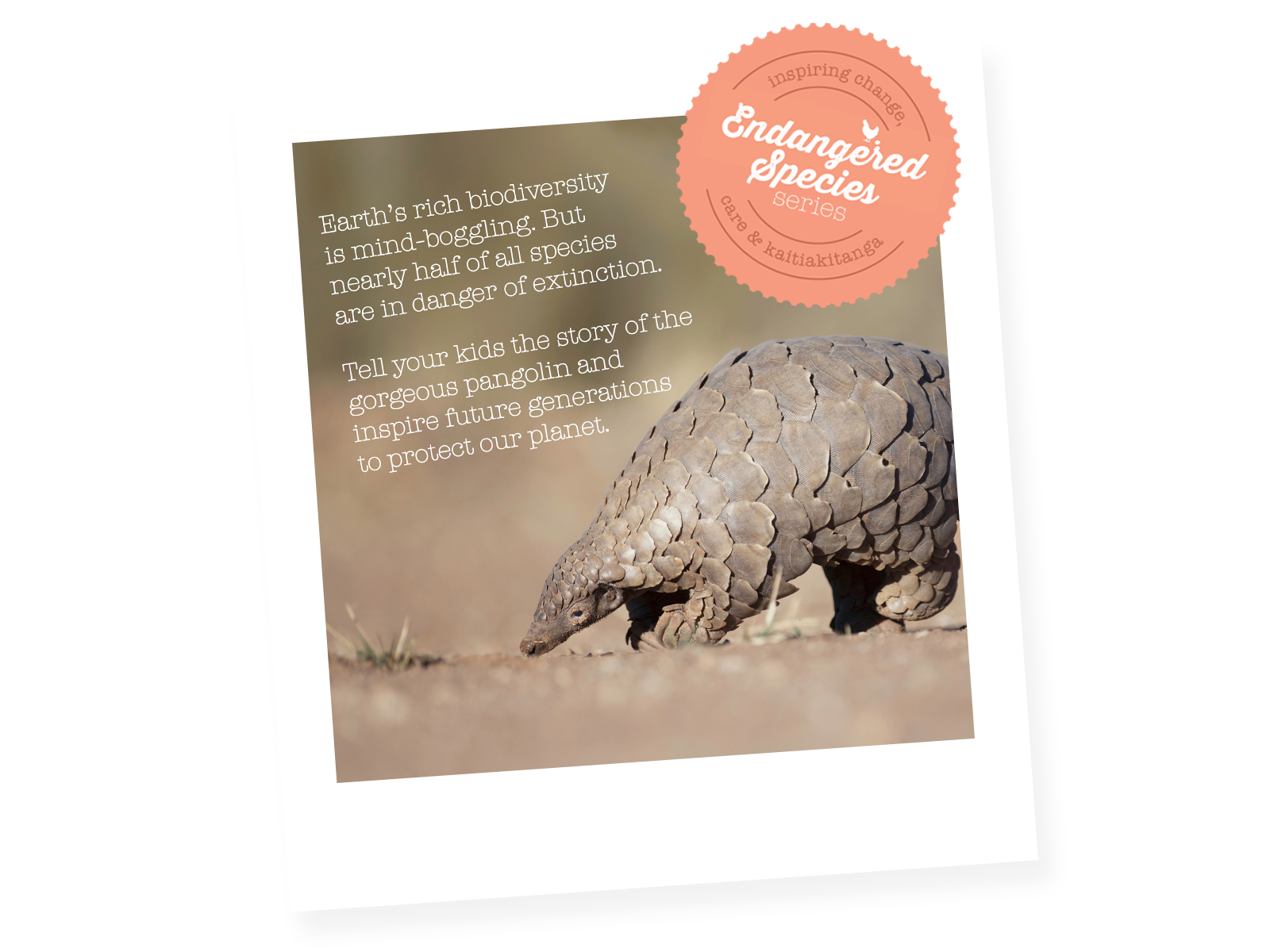 Wishbone Original 3-in-1 Balance Bike