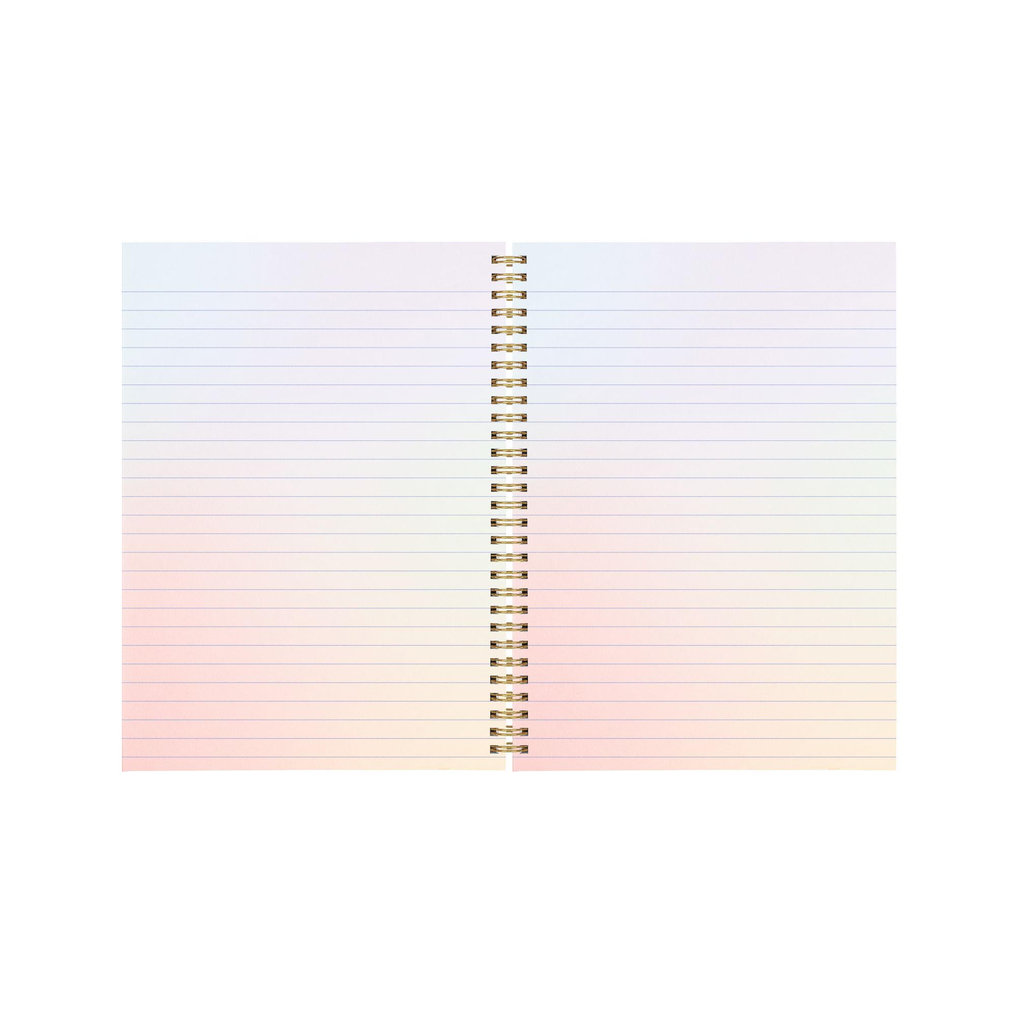 Rainbow Flower Notebook