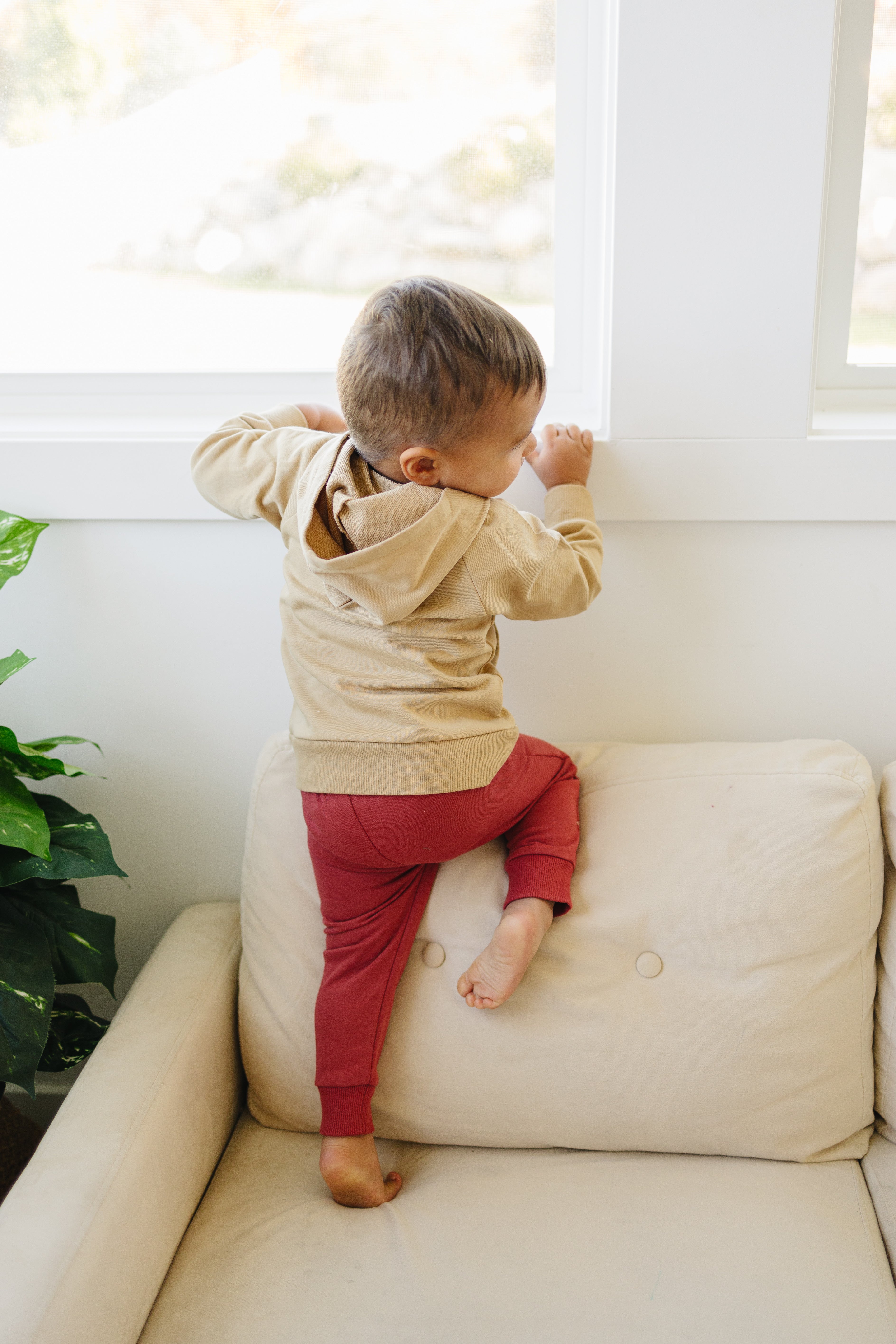 Camel ‘gameday’ Hooded Sweatshirt