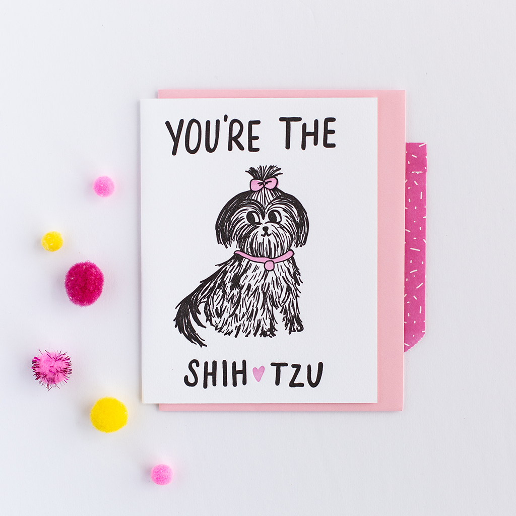 You're The Shih Tzu
