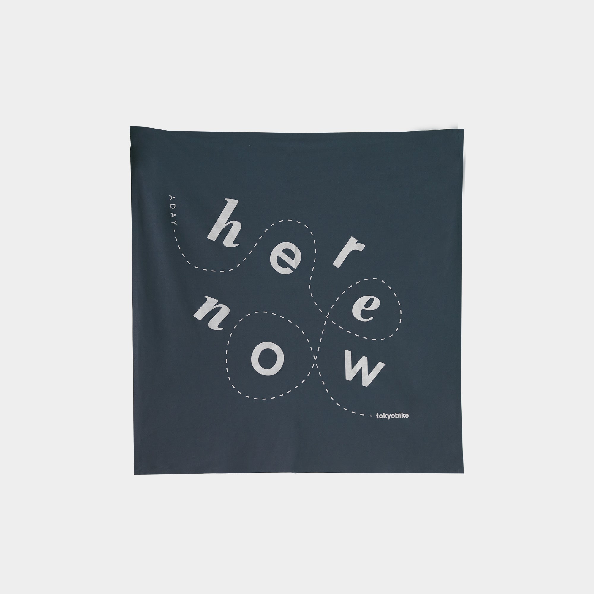 Here. Now. Bandana, Navy