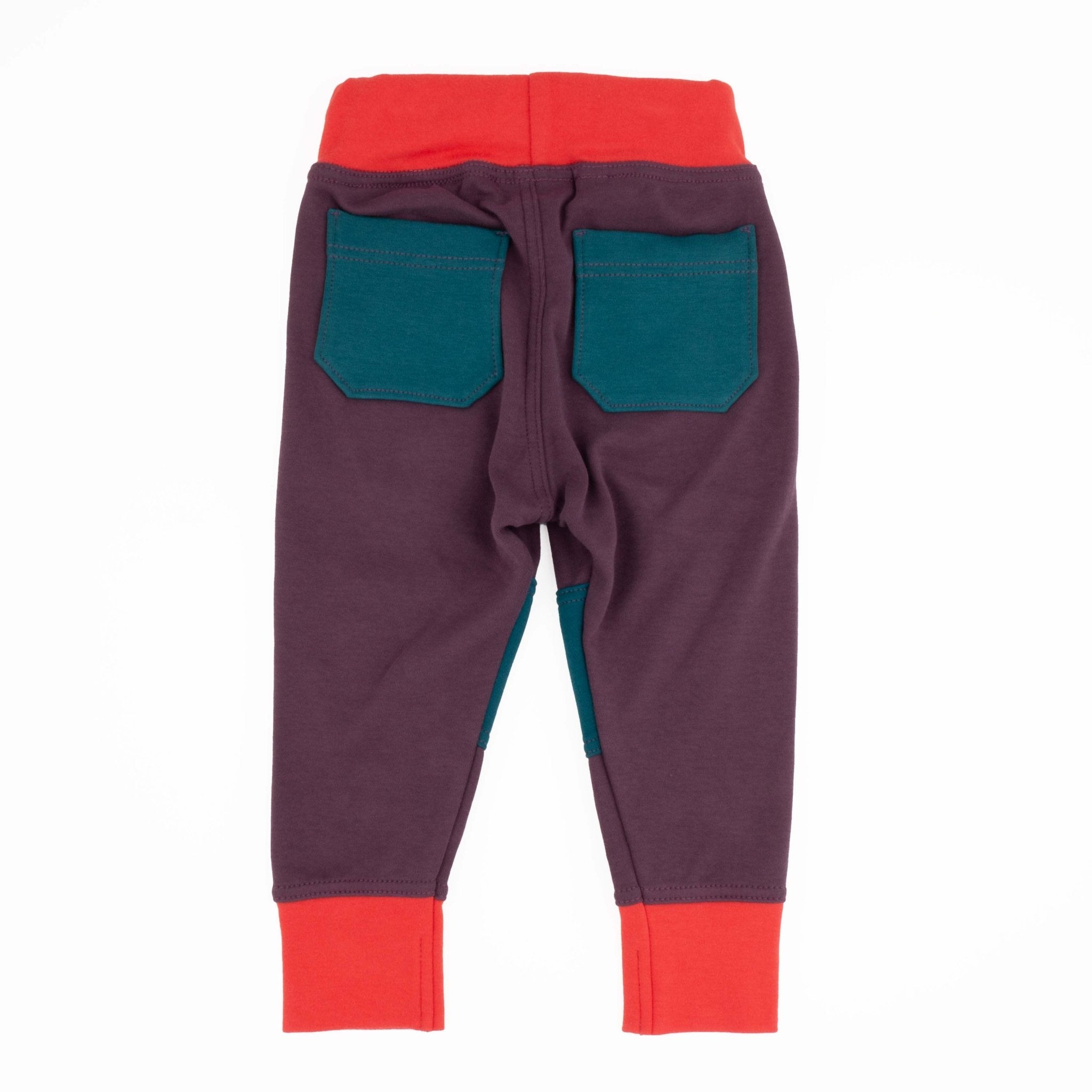 Adult Colorblock Joggers