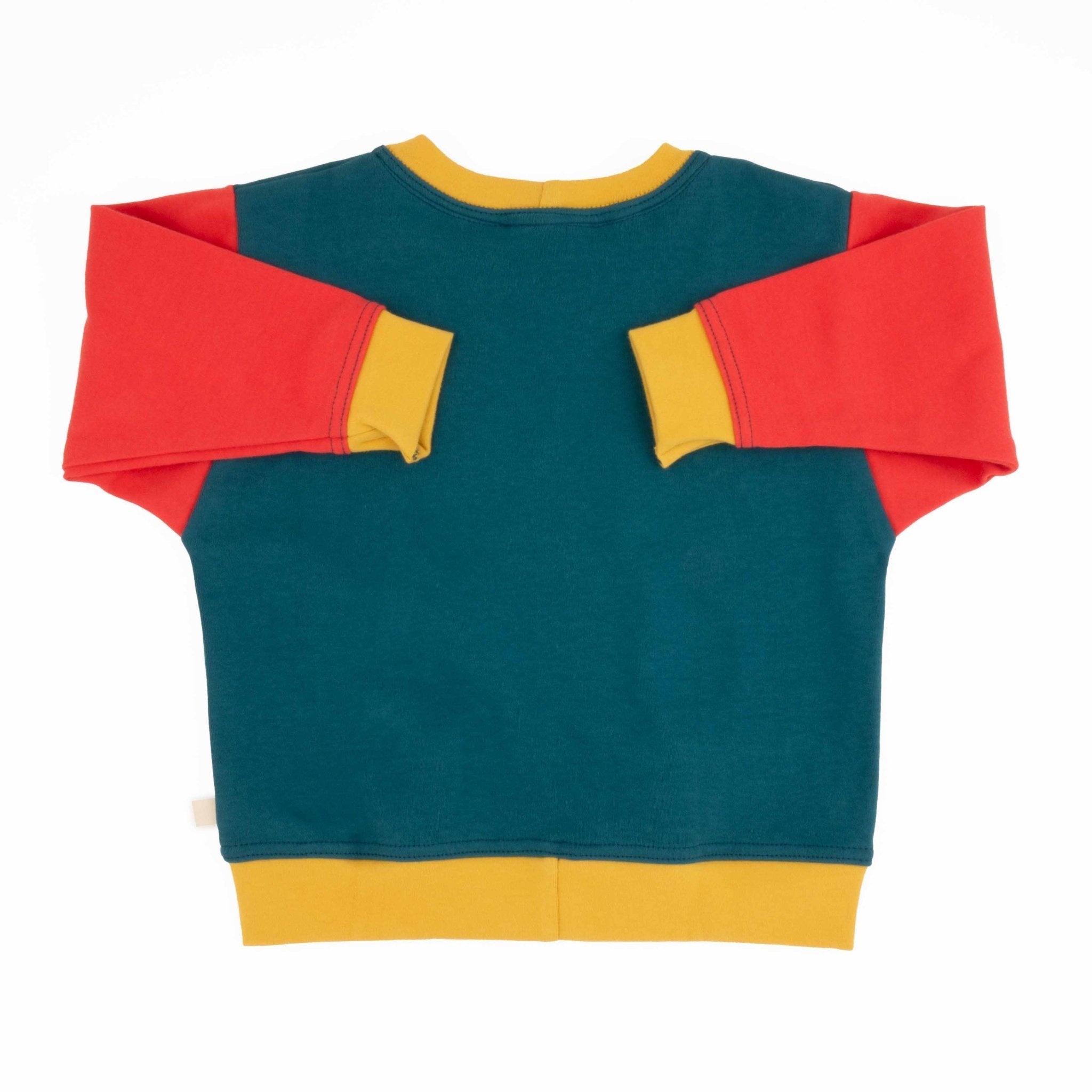 Adult Colorblock Sweatshirt