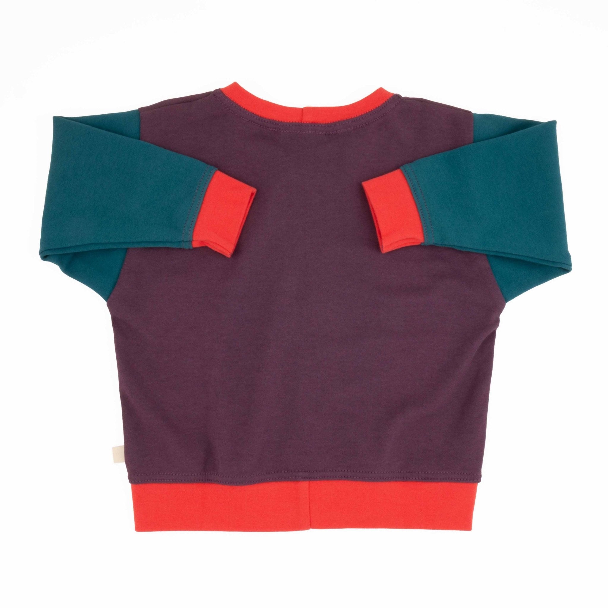 Adult Colorblock Sweatshirt
