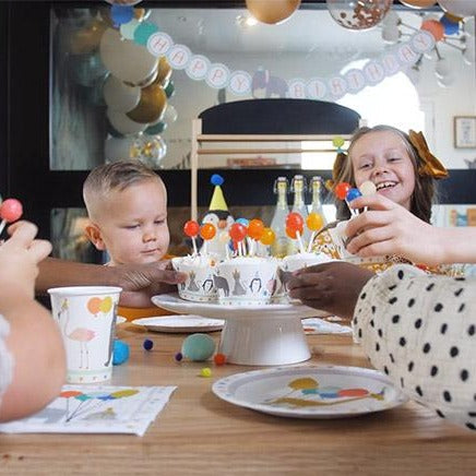 Party Animal - Birthday Party Supplies In A Box