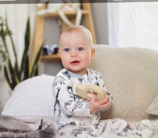 Animal Kingdom Printed Footie In Sustainable Fabric