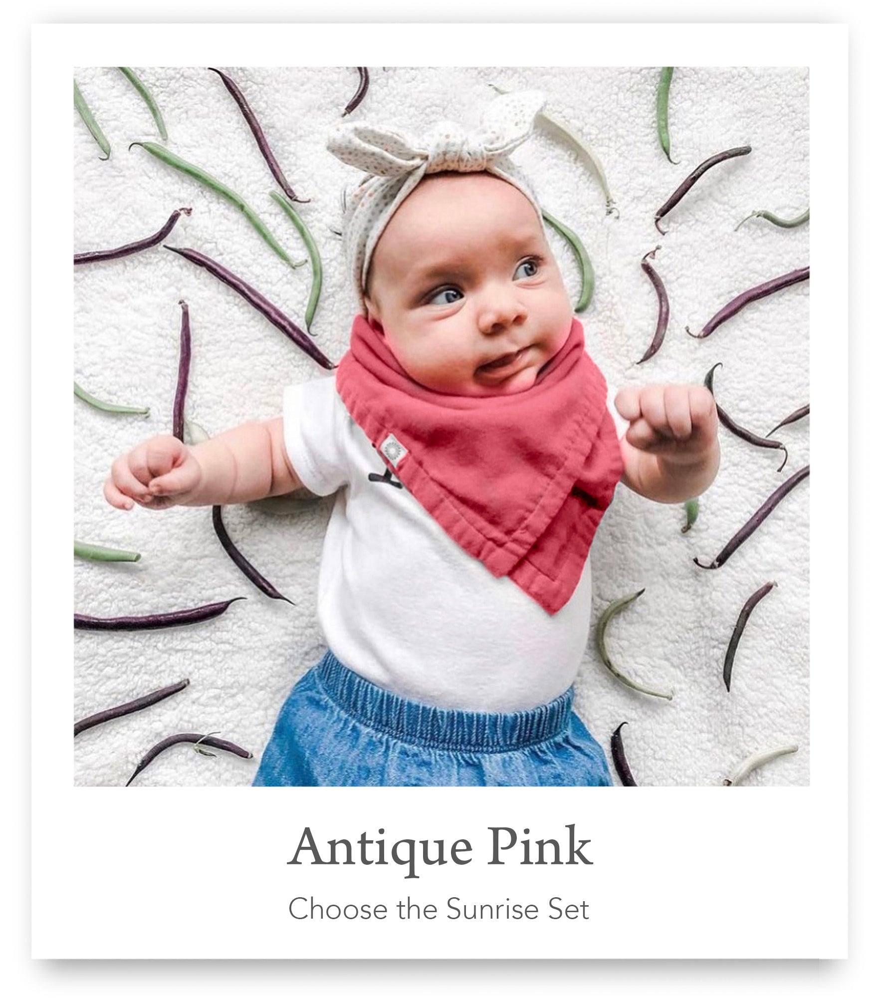 Organic Scarf Bib 5-pack