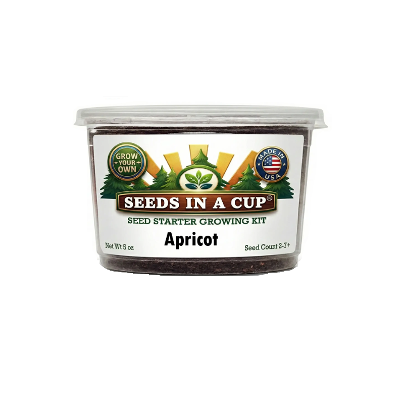 Original Tree Grow Kit- Multiple Varieties