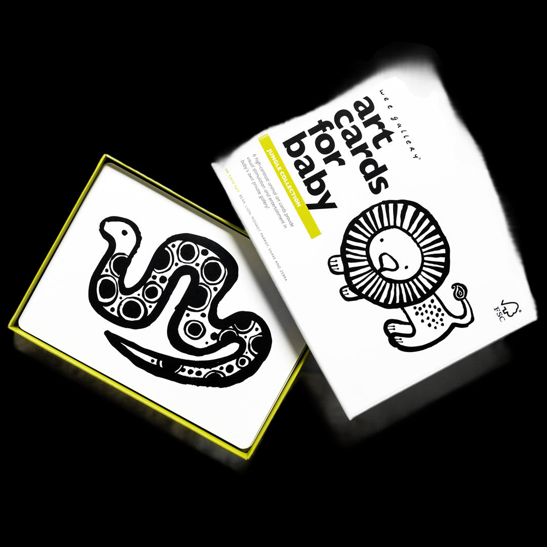 Art Cards For Baby - Jungle Collection