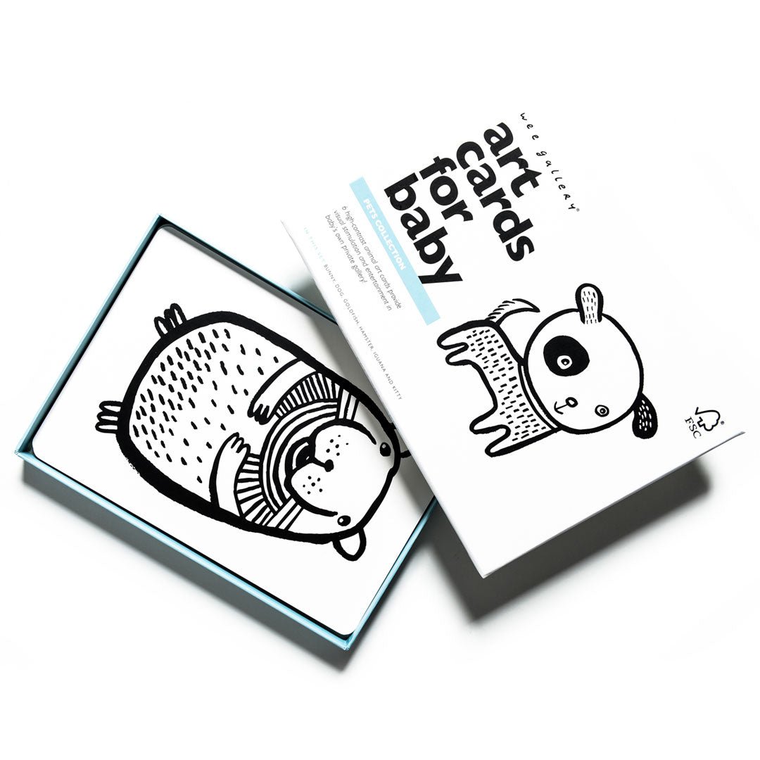 Art Cards For Baby - Pets Collection