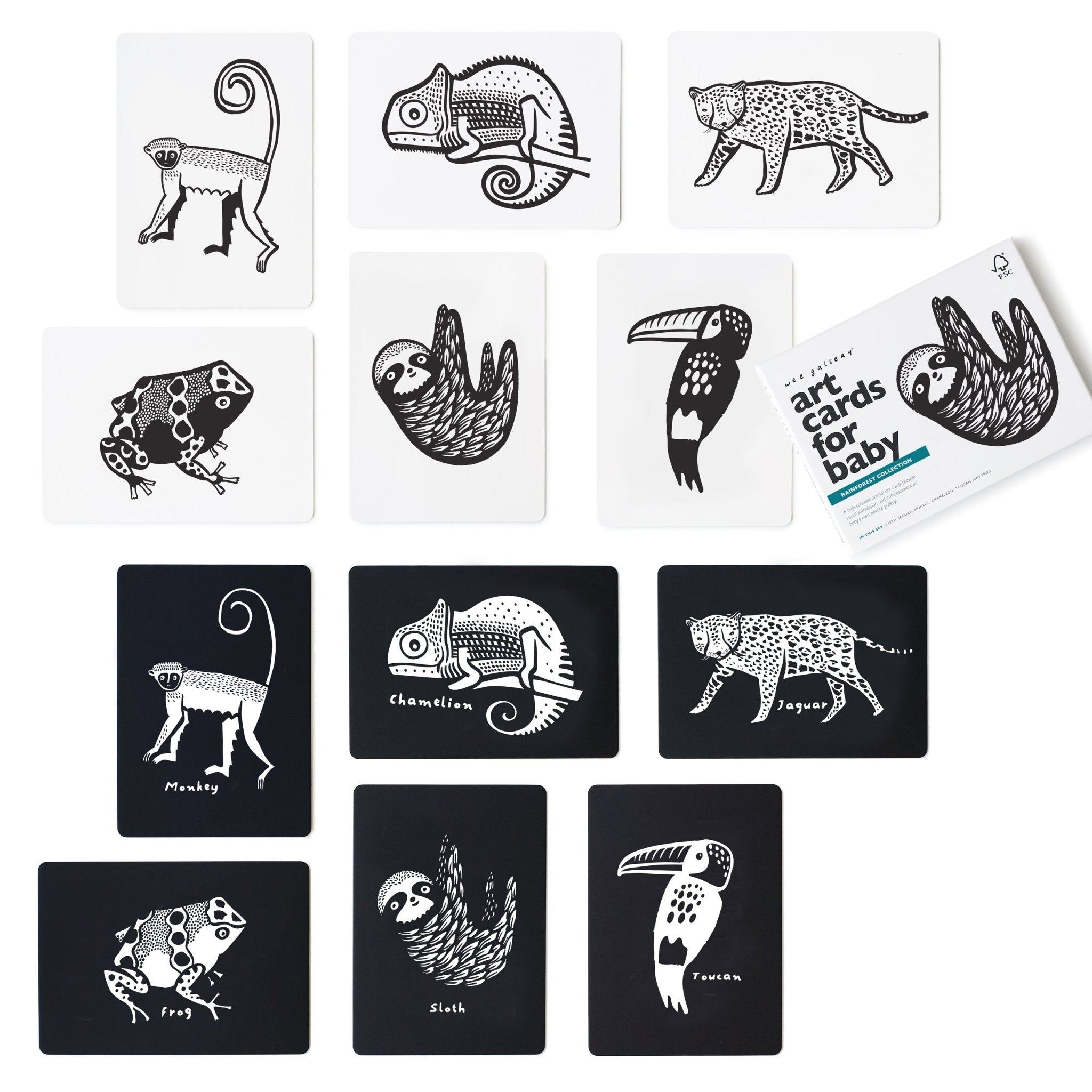 Art Cards For Baby - Rainforest Collection