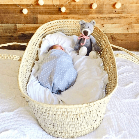 Atty The Bear - Grey