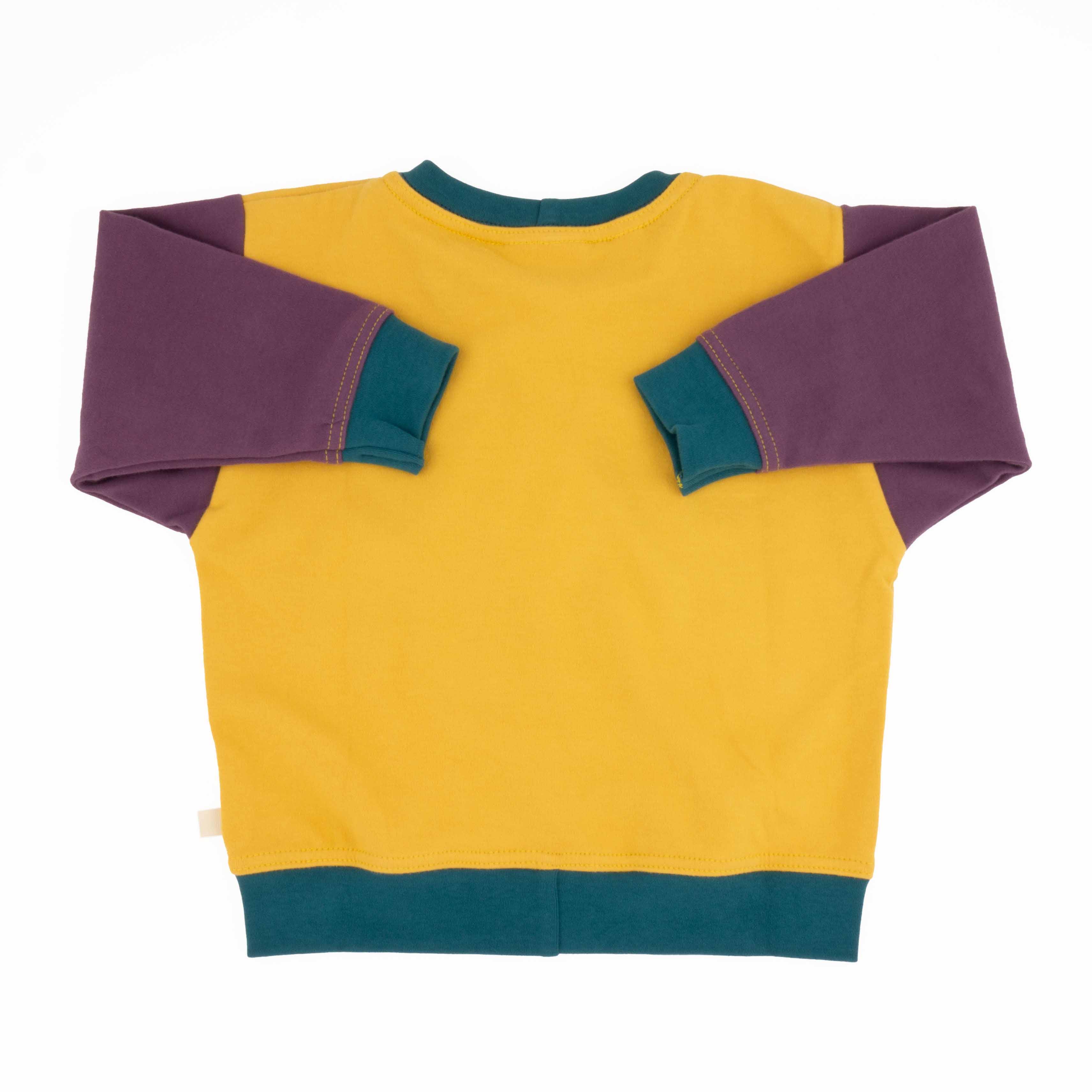 Baby Colorblock Sweatshirt