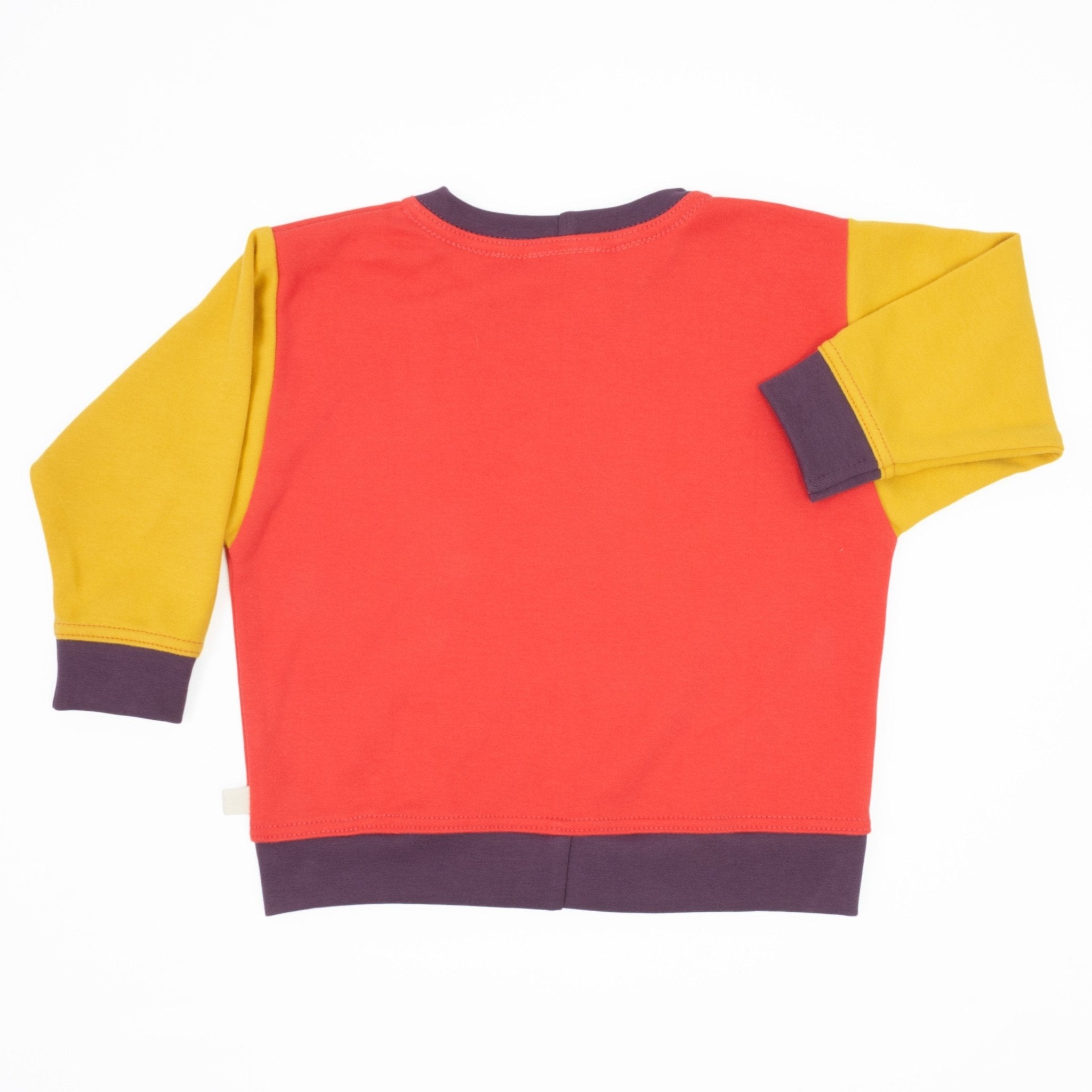 Baby Colorblock Sweatshirt