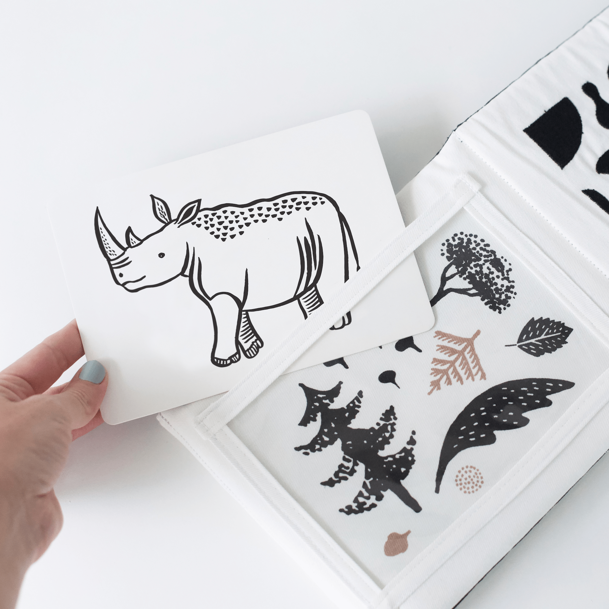 Little Naturalist Gift Set - Safari