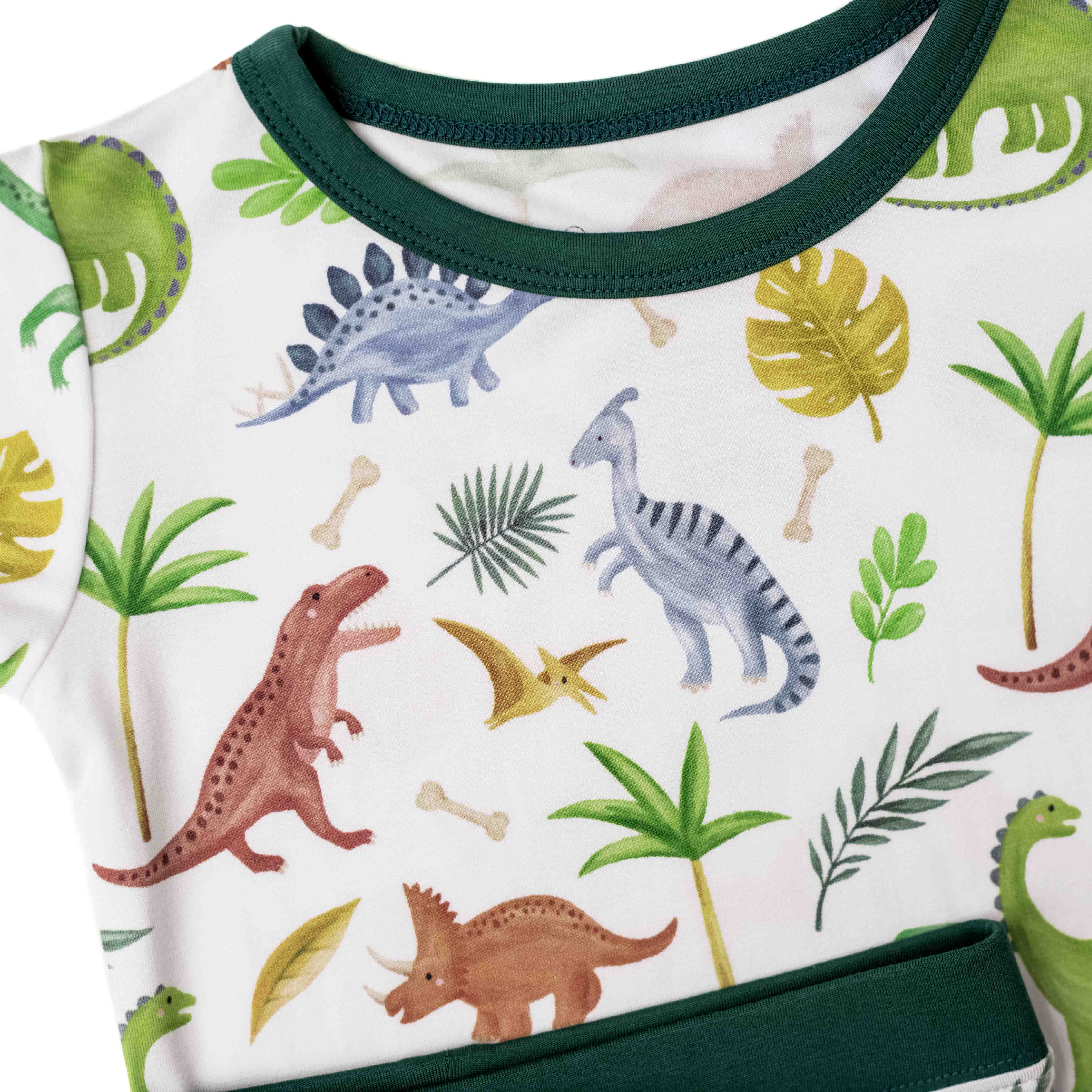 Dinosaur Land | Two-piece Bamboo Short Sleeve Toddler & Kids Apparel Set