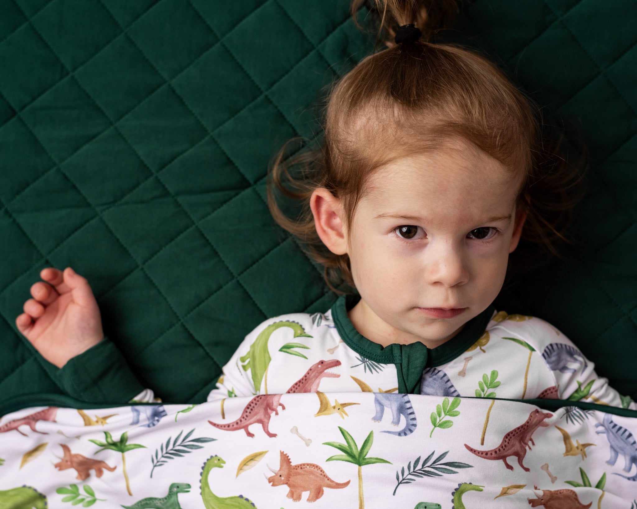 Dinosaur Land | Mini Quilted Bamboo Baby Blanket