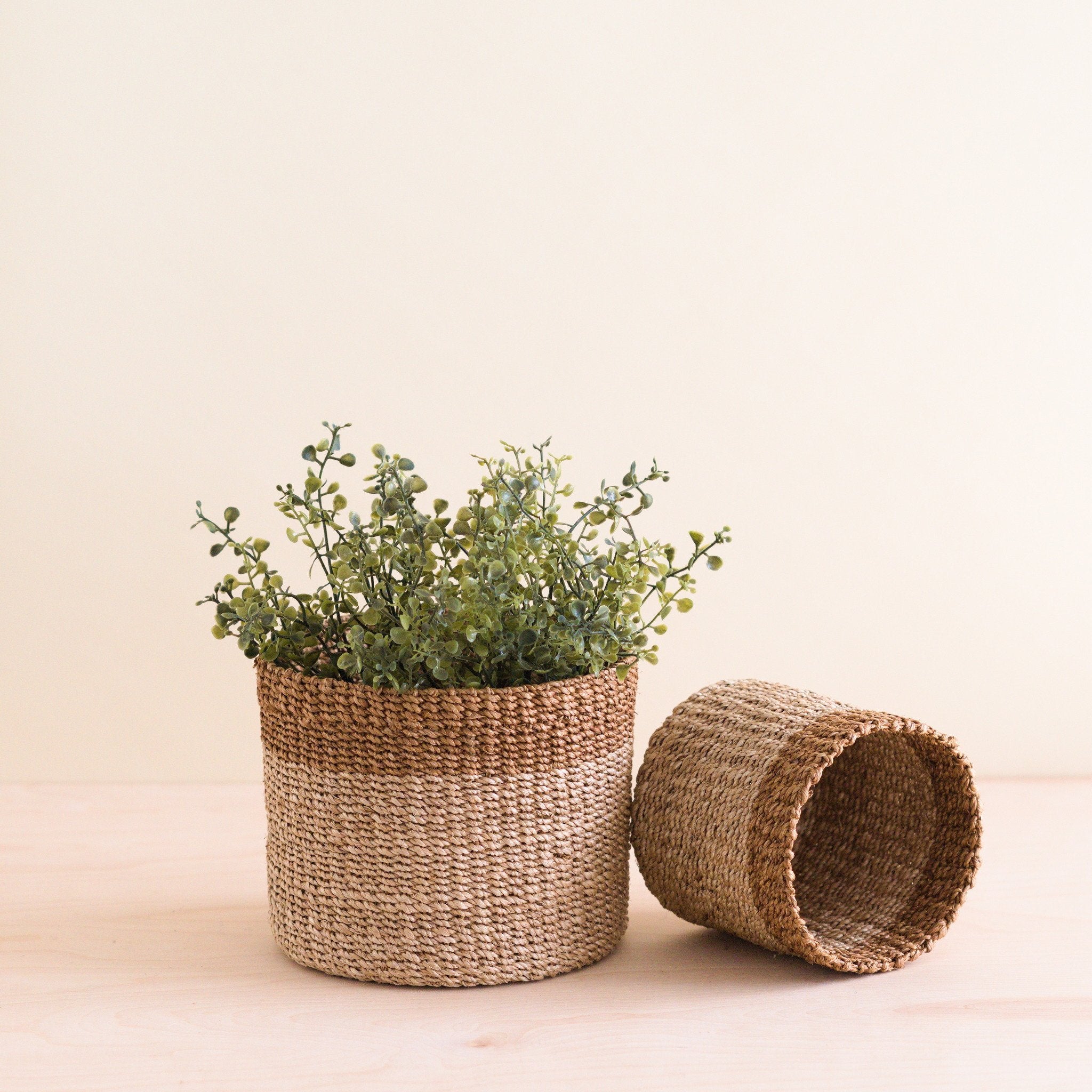 Natural + Brown Tabletop Bins Set Of 2 - Wicker Baskets | Likhâ