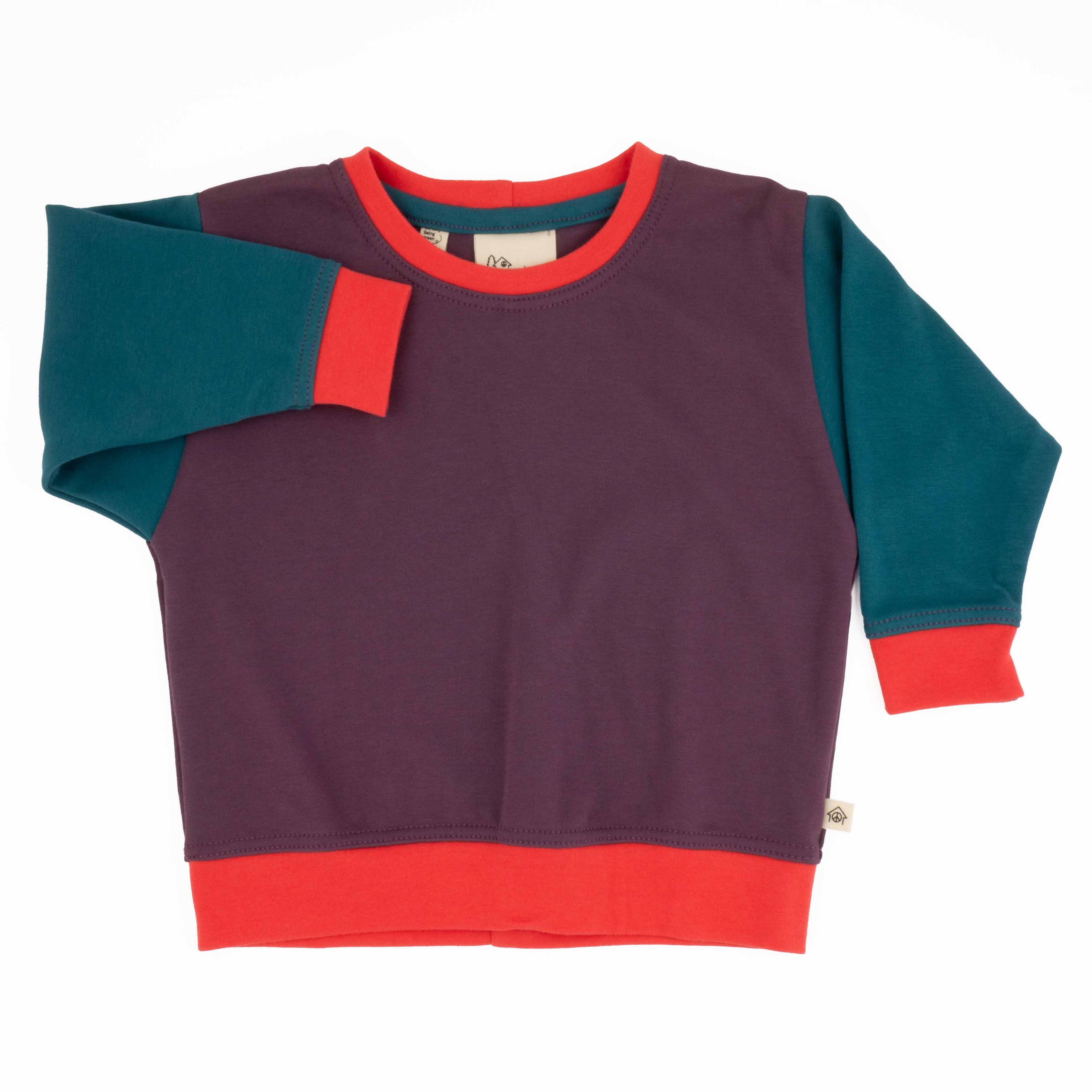 Big Kid Colorblock Sweatshirt