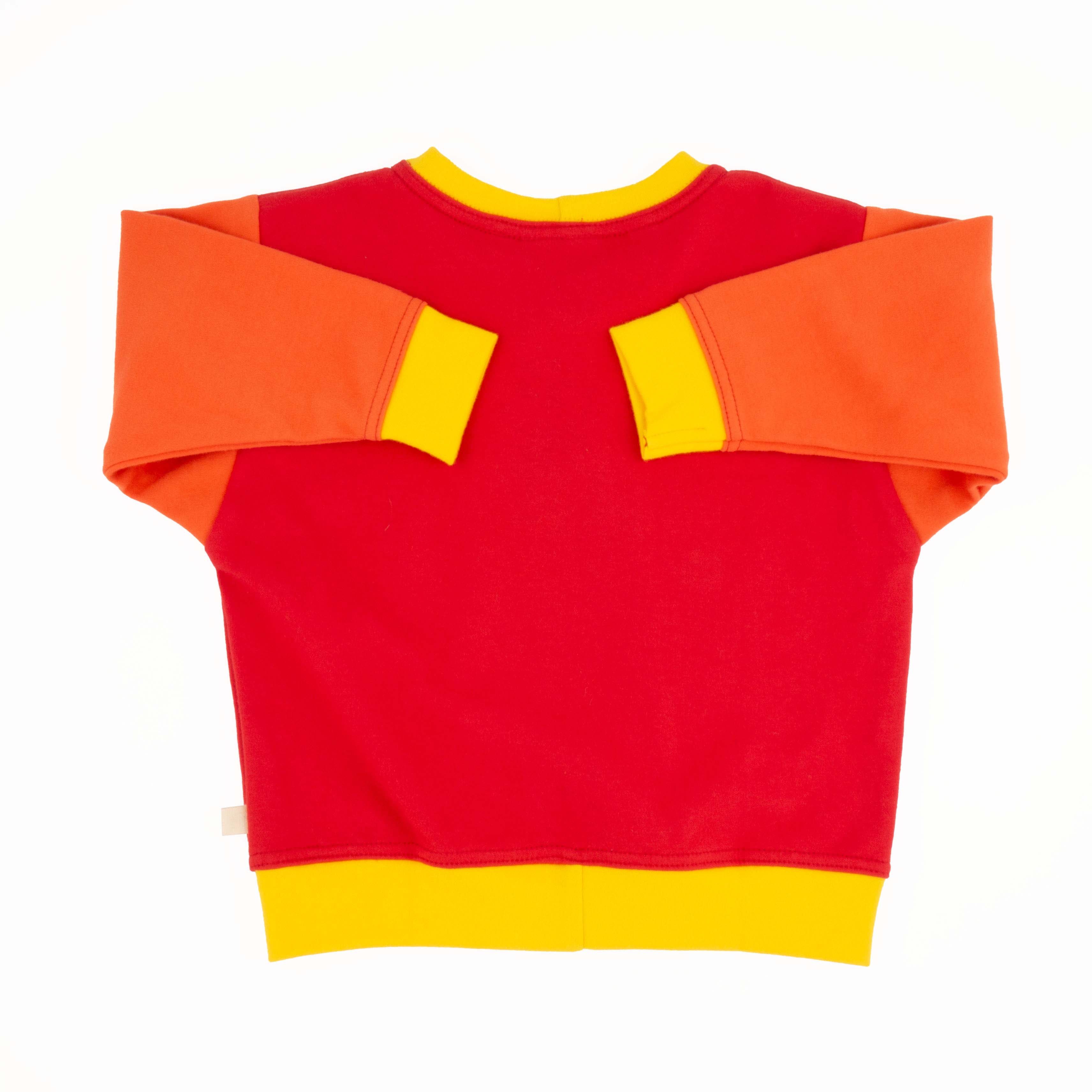 Big Kid Colorblock Sweatshirt