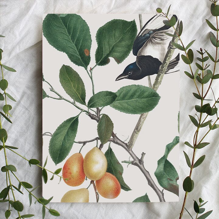 Birds In Paradise Wallpaper