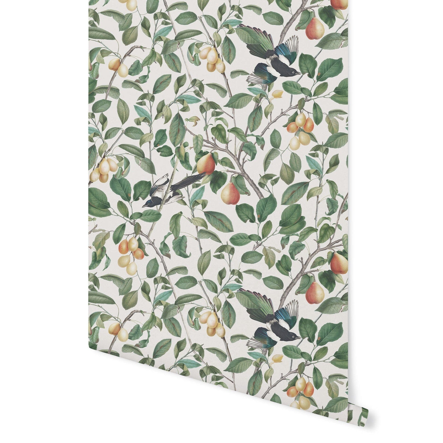 Birds In Paradise Wallpaper