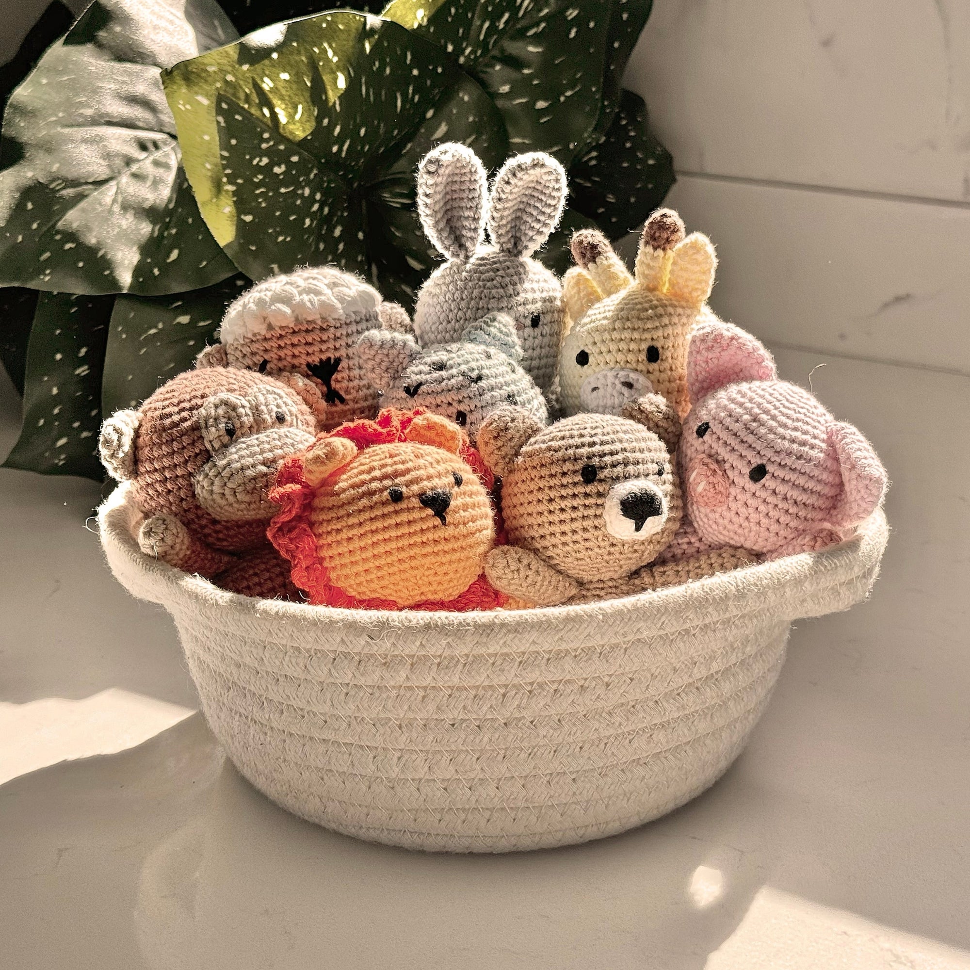 The Whole - Collection Of 14 *includes Baskets