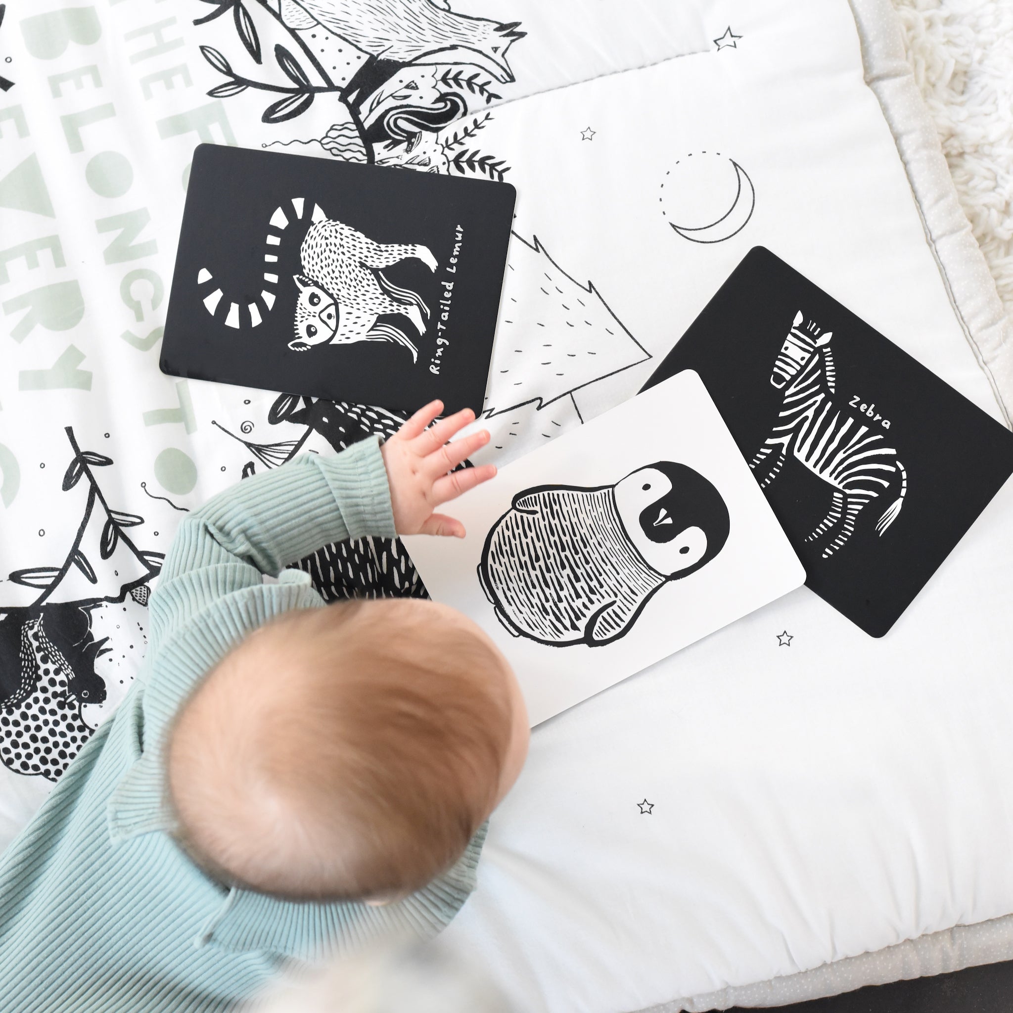 Art Cards For Baby - Black And White Collection