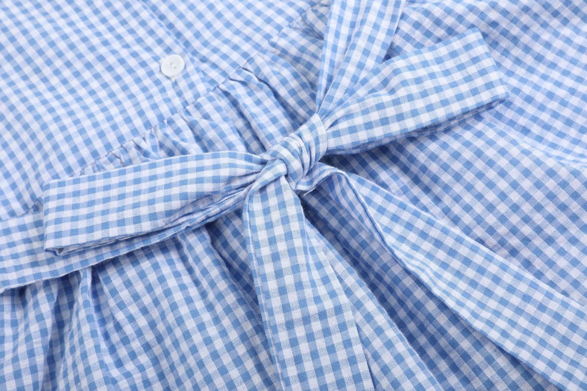 Blue Gingham Crawfish Smocked Dress