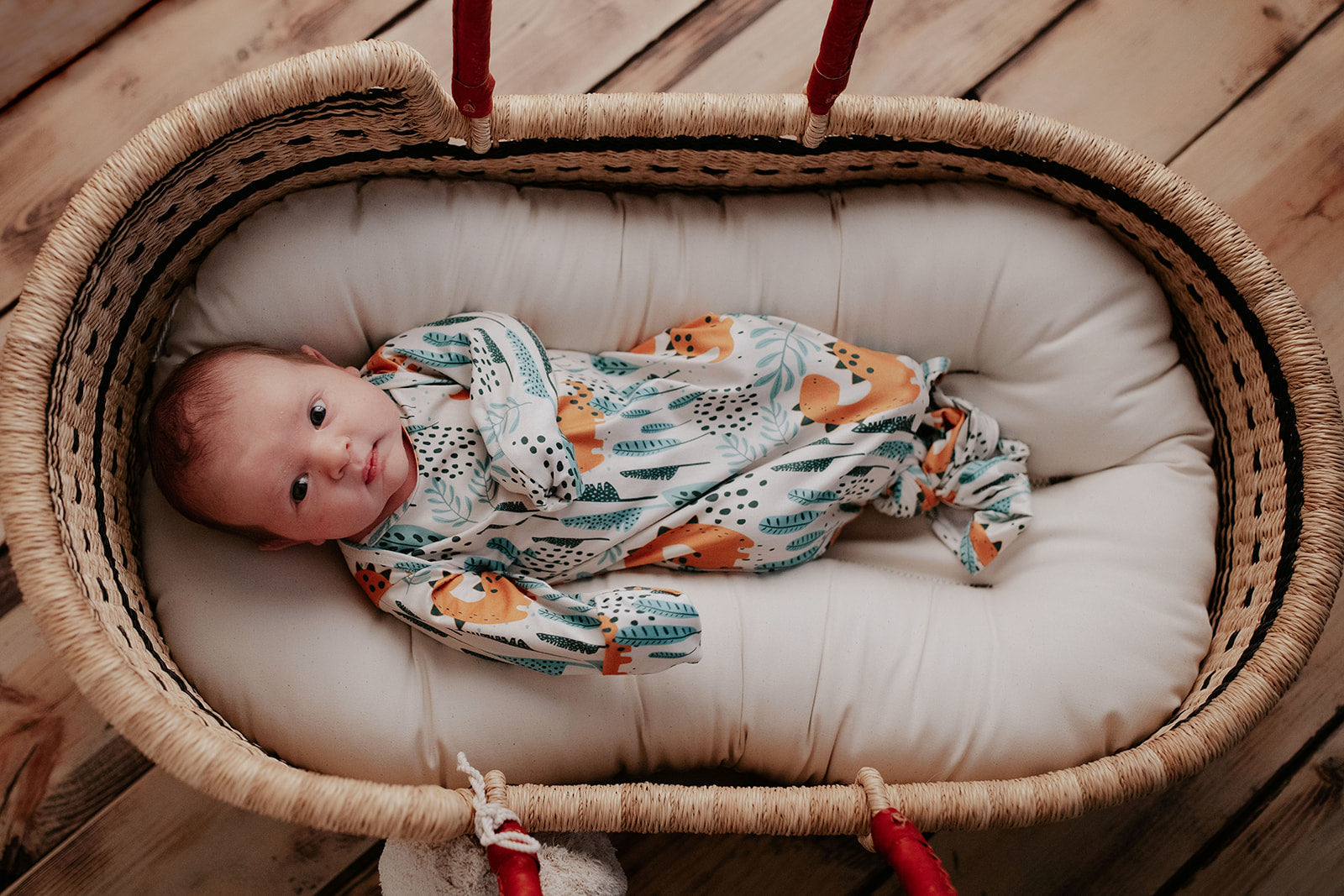 Dinosaur Themed Newborn Knotted Gown