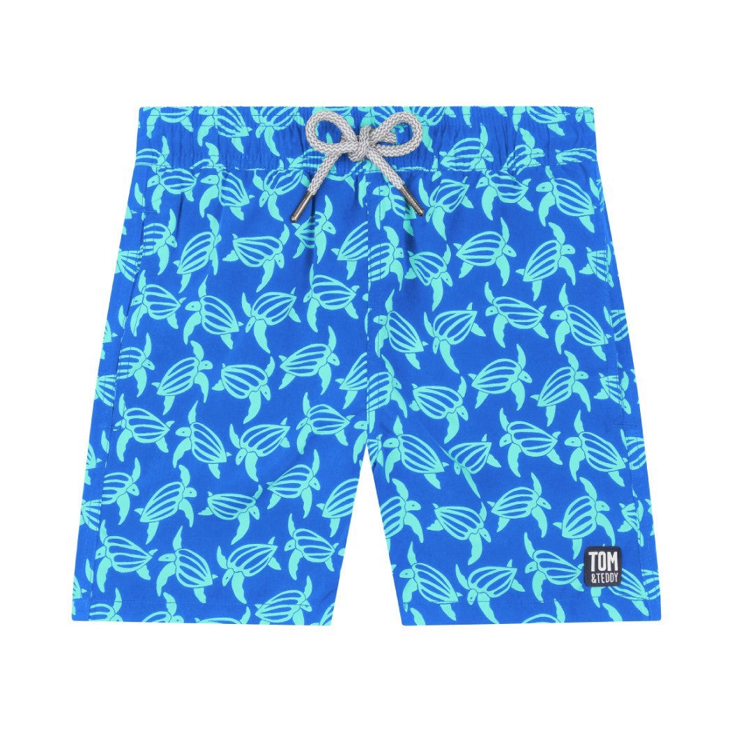 Blue & Ice Green Turtles