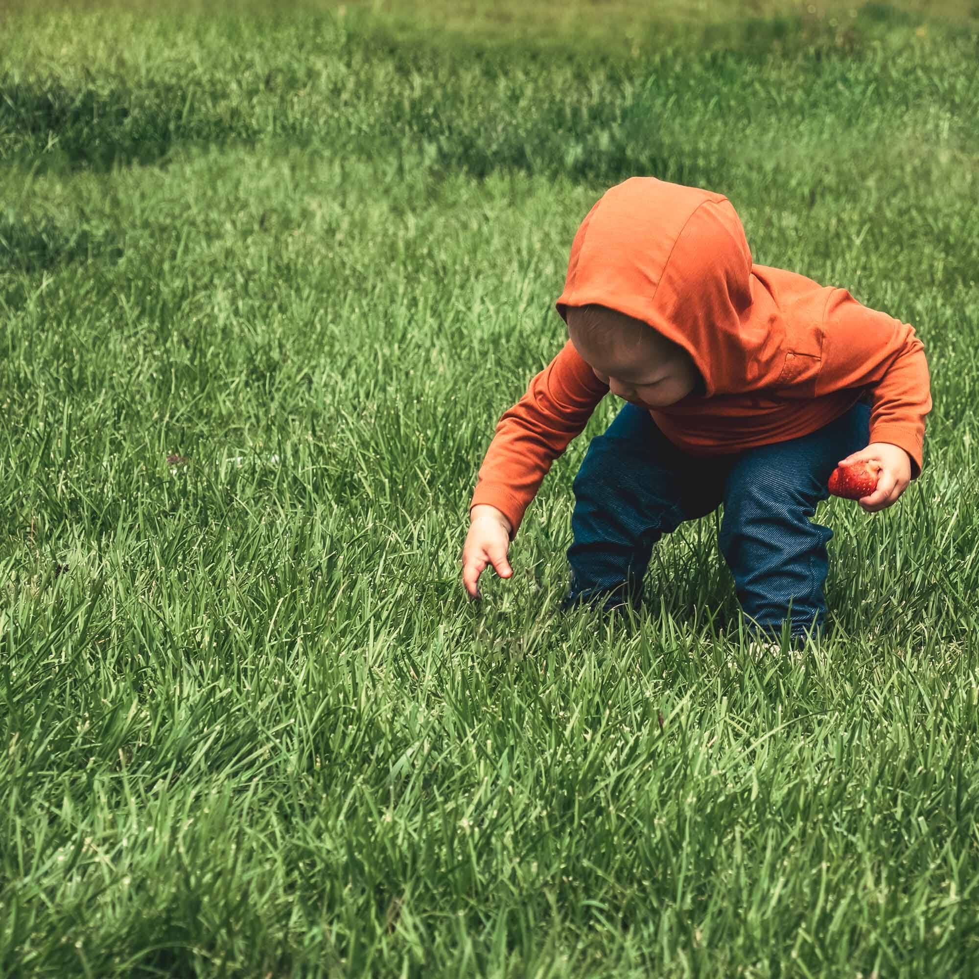 Chaser - Baby Sun Hoodie