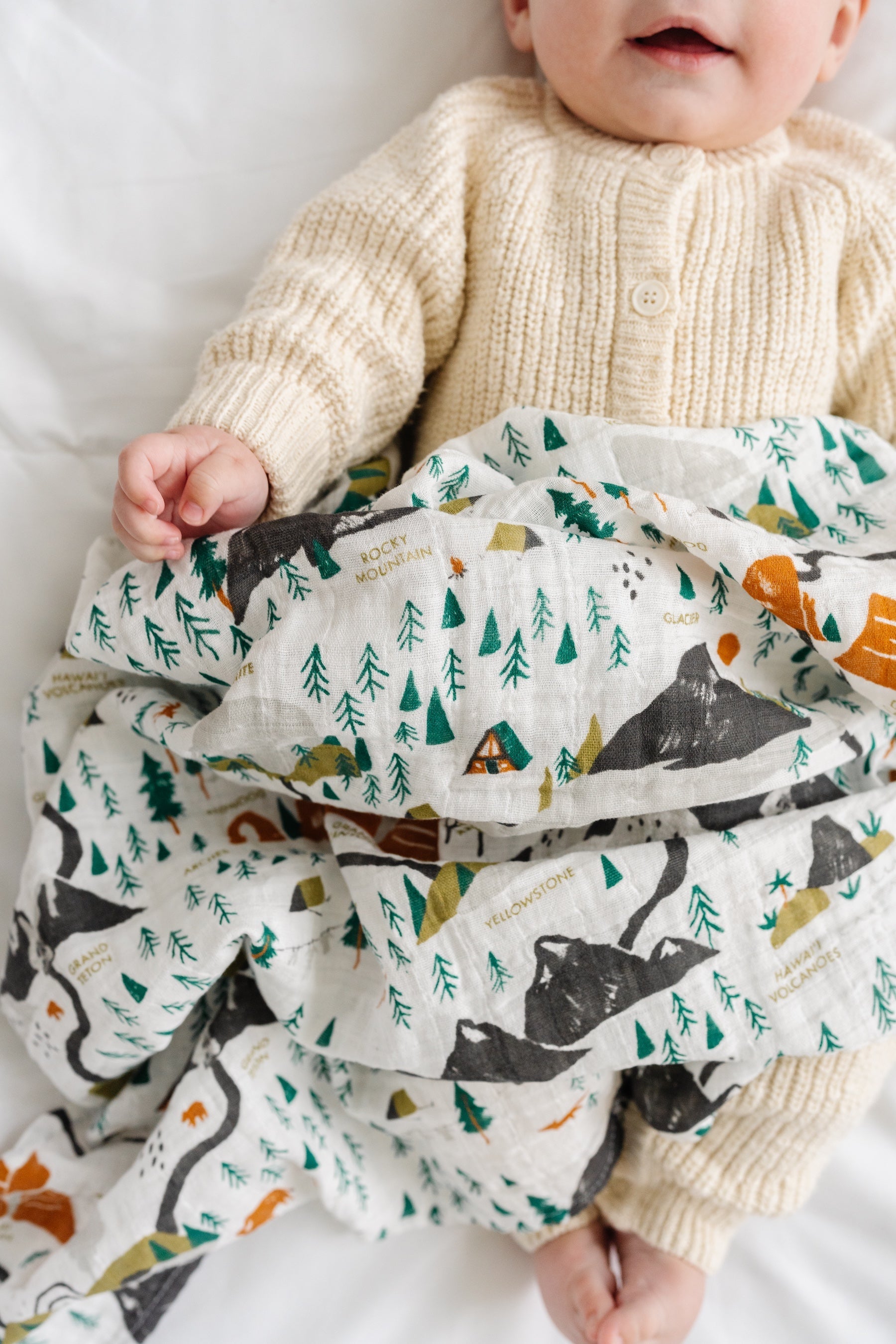 National Parks Swaddle (mini Pattern)