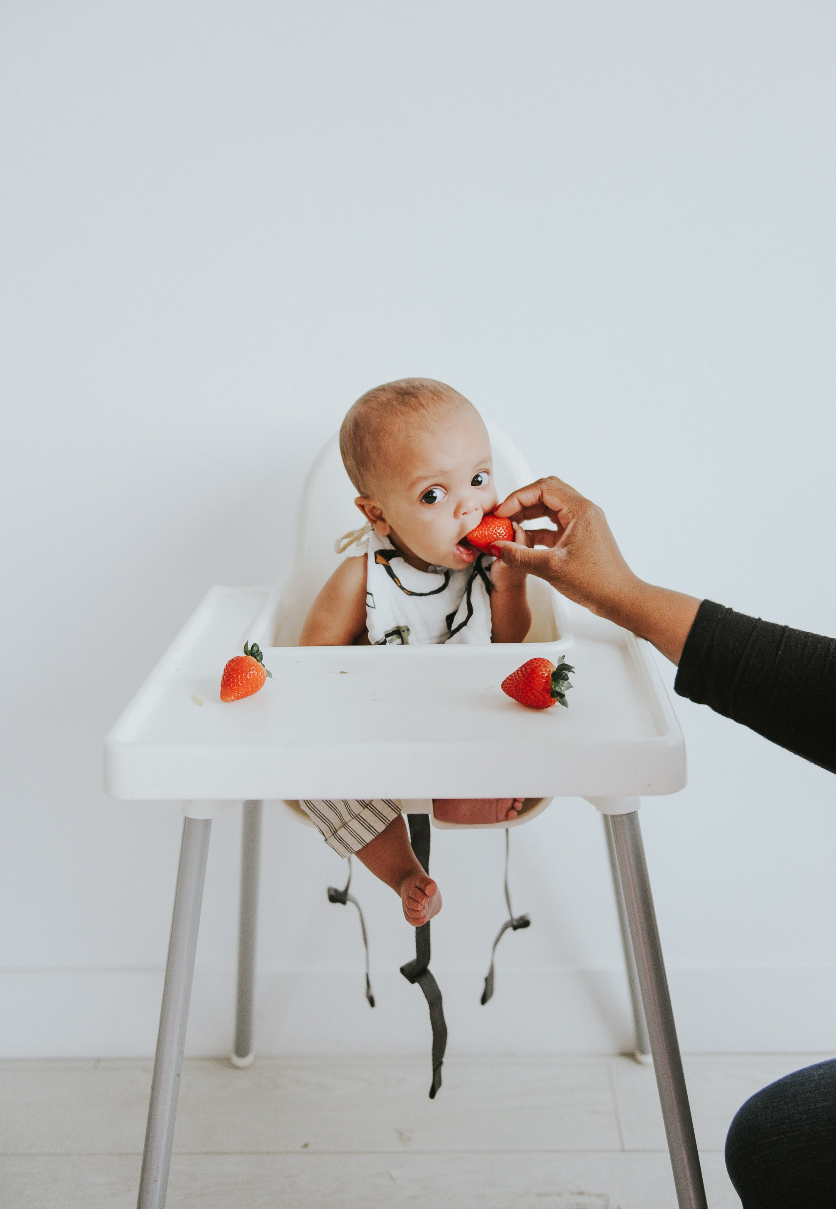 Zoology And Specs Bib Pack