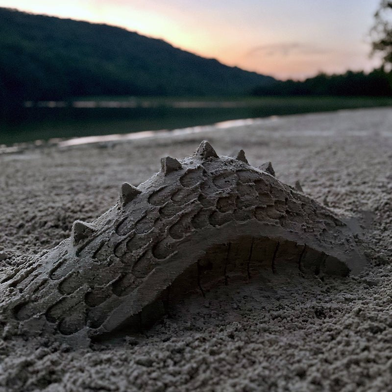 Tool Kit For Perfect Mermaids, Dolphins Or Dragons On The Beach