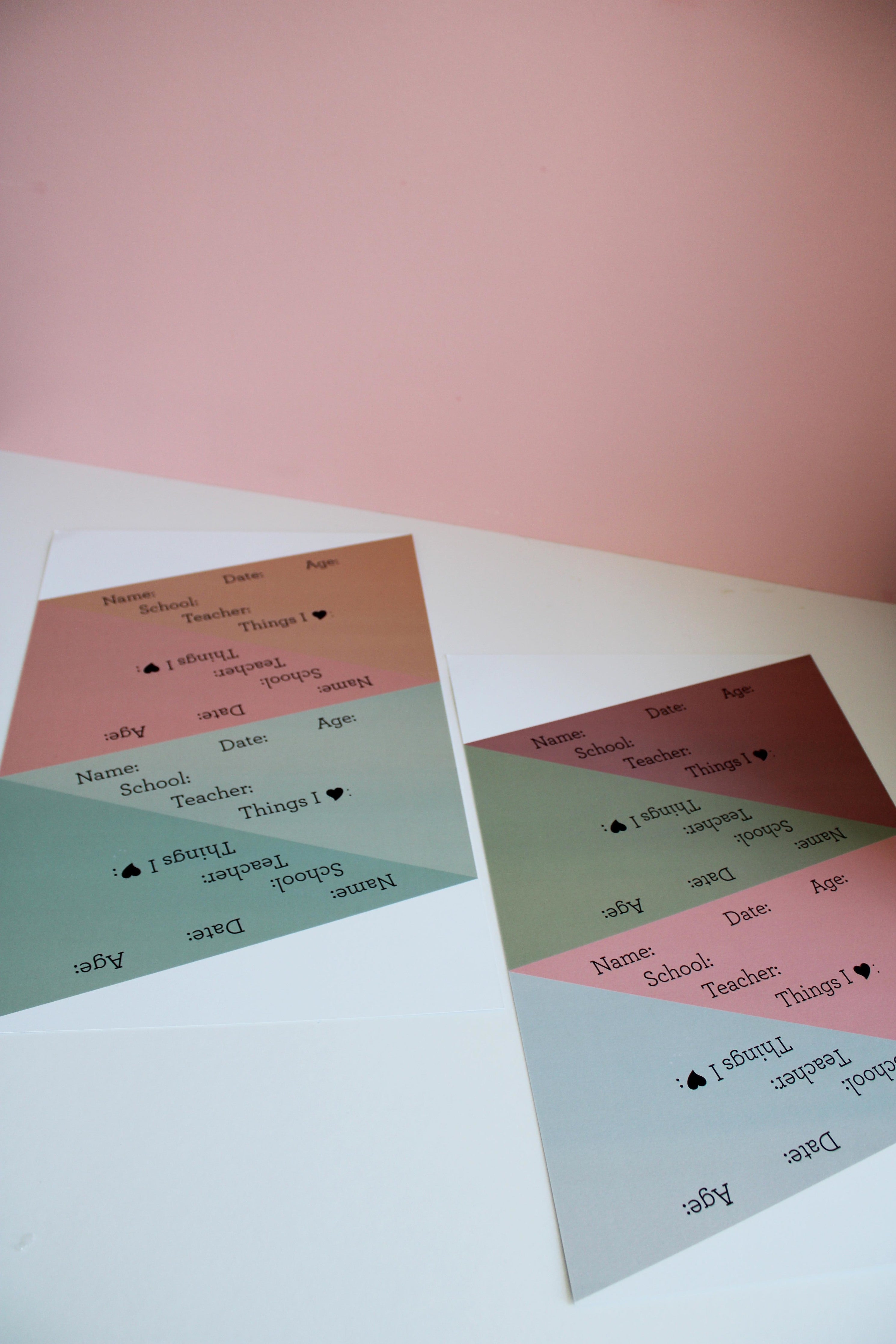 Dusty Rose School Pennant Flags