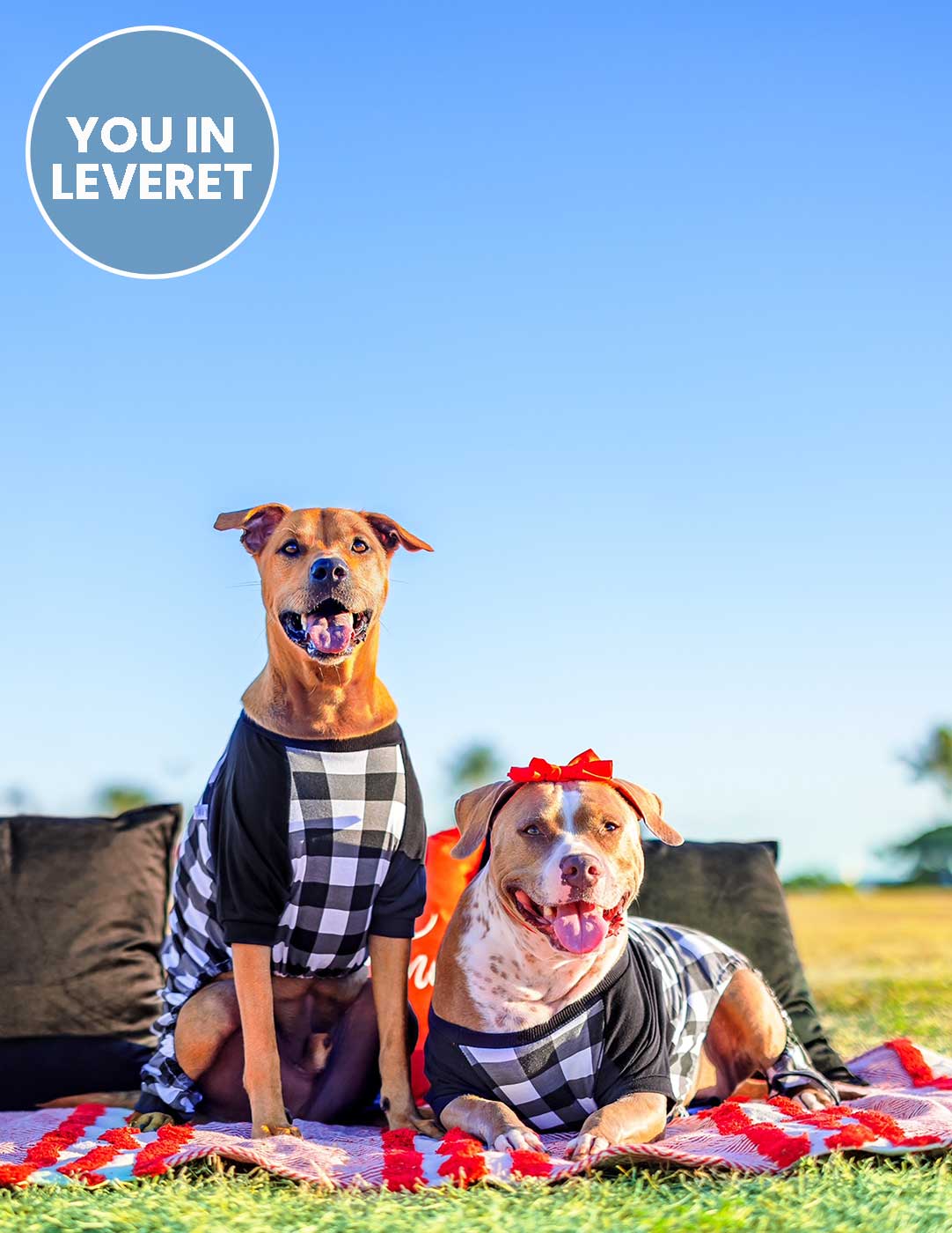 Big Dog Black & White Plaid Pajamas