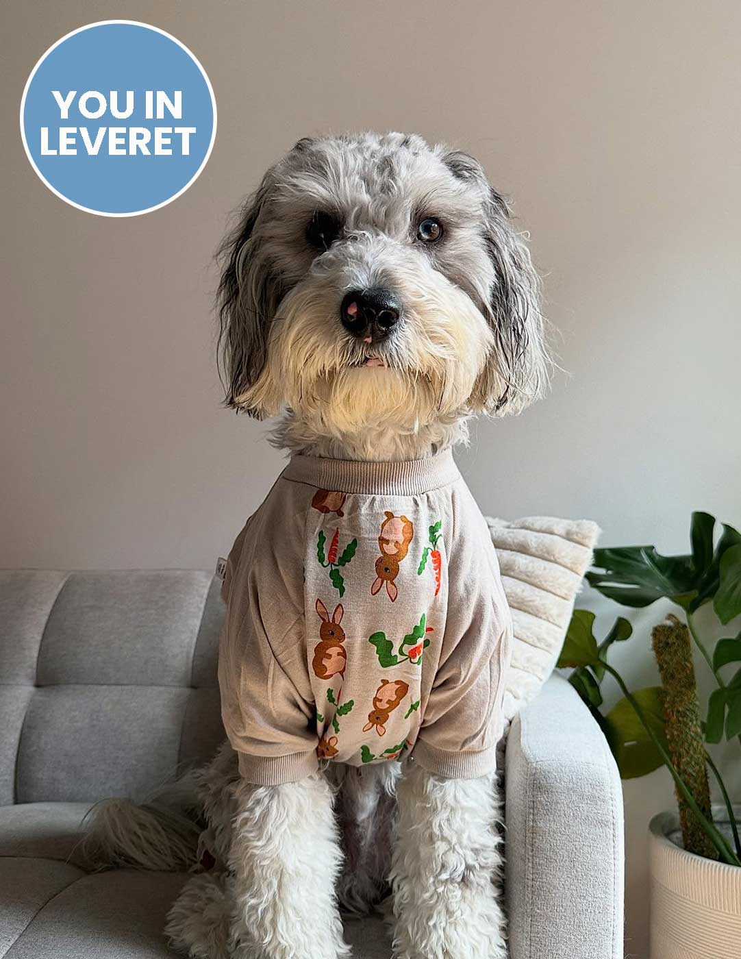 Dog Beige Bunny Pajamas