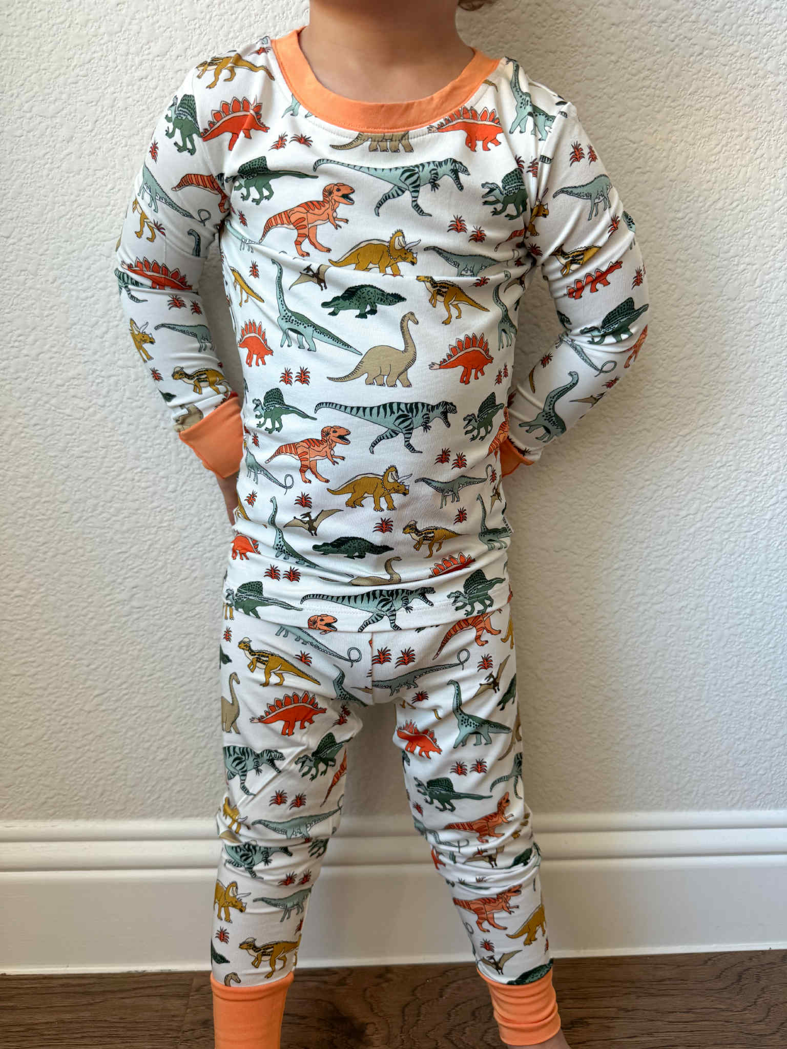 Boho Dinosaur | Two Piece Set