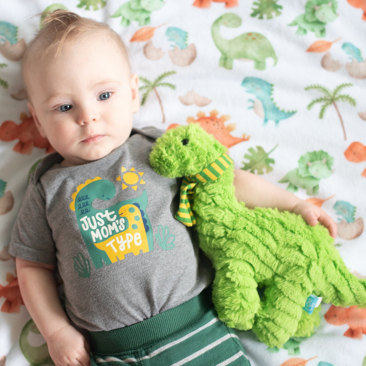 Premium Baby & Toddler Minky Blanket - Dinosaurs