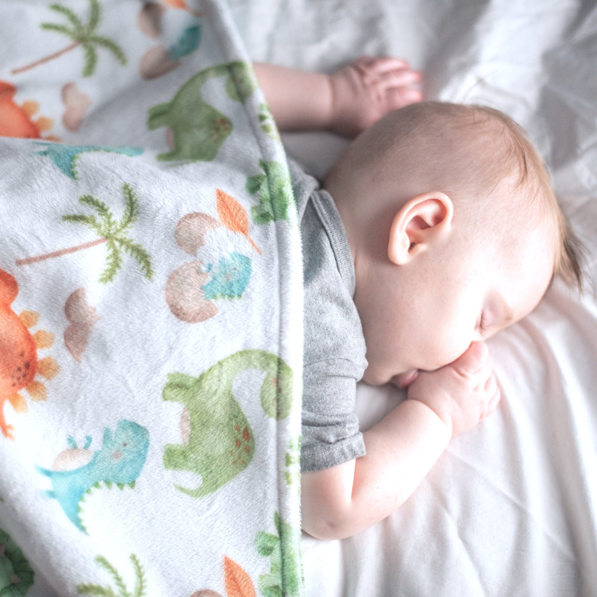 Premium Baby & Toddler Minky Blanket - Dinosaurs