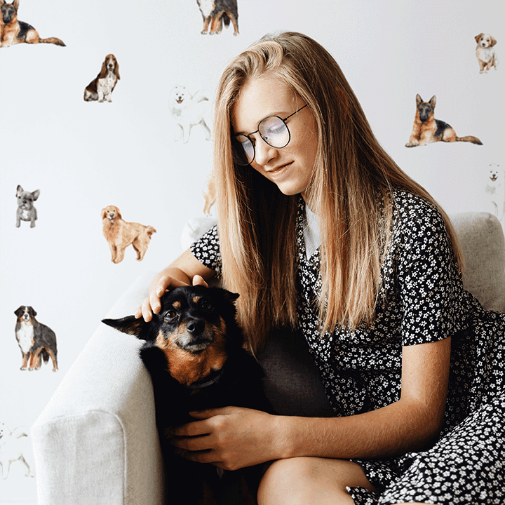 Dog Wall Decals