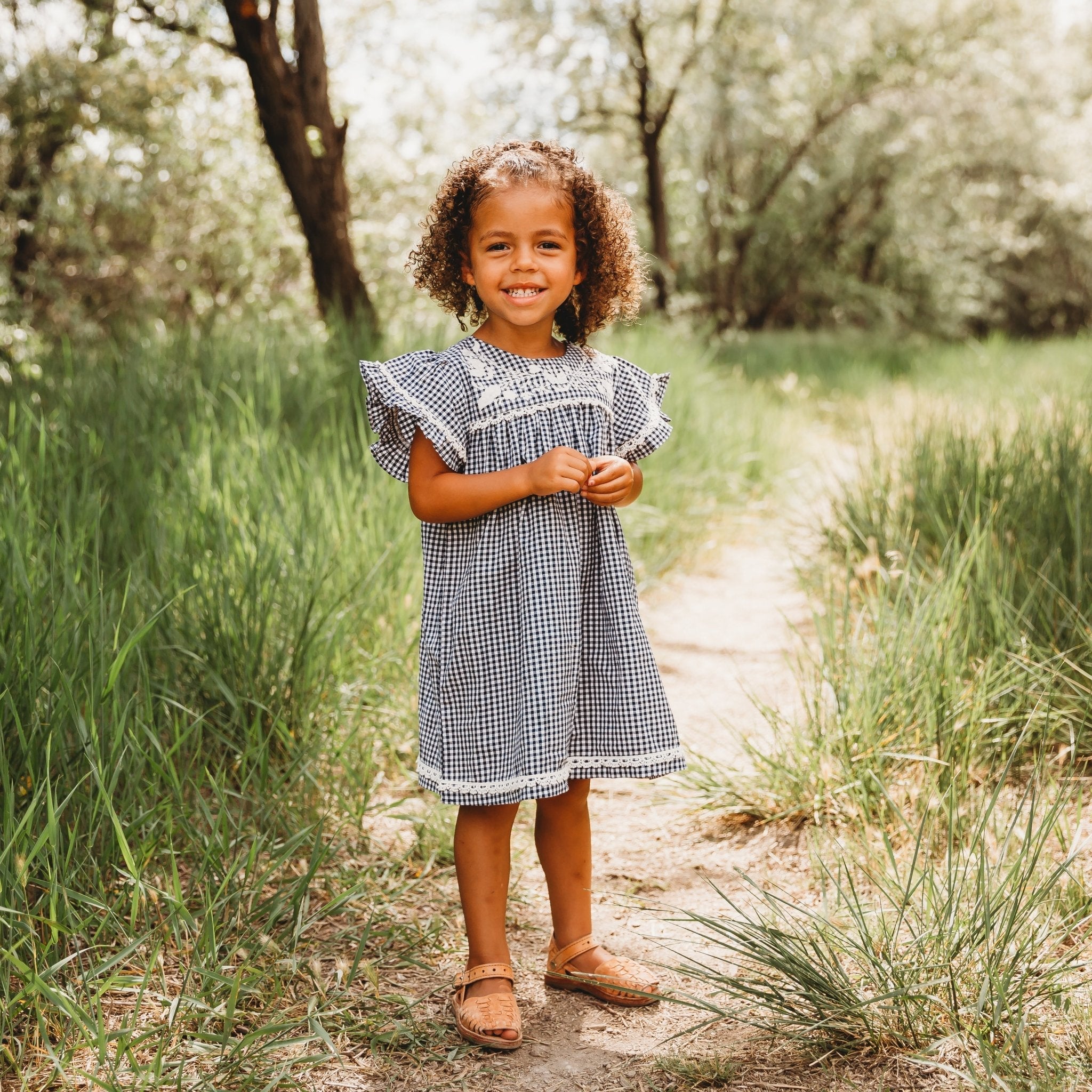 Embroidered Yoke Eith Ruffle Sleeves Dress