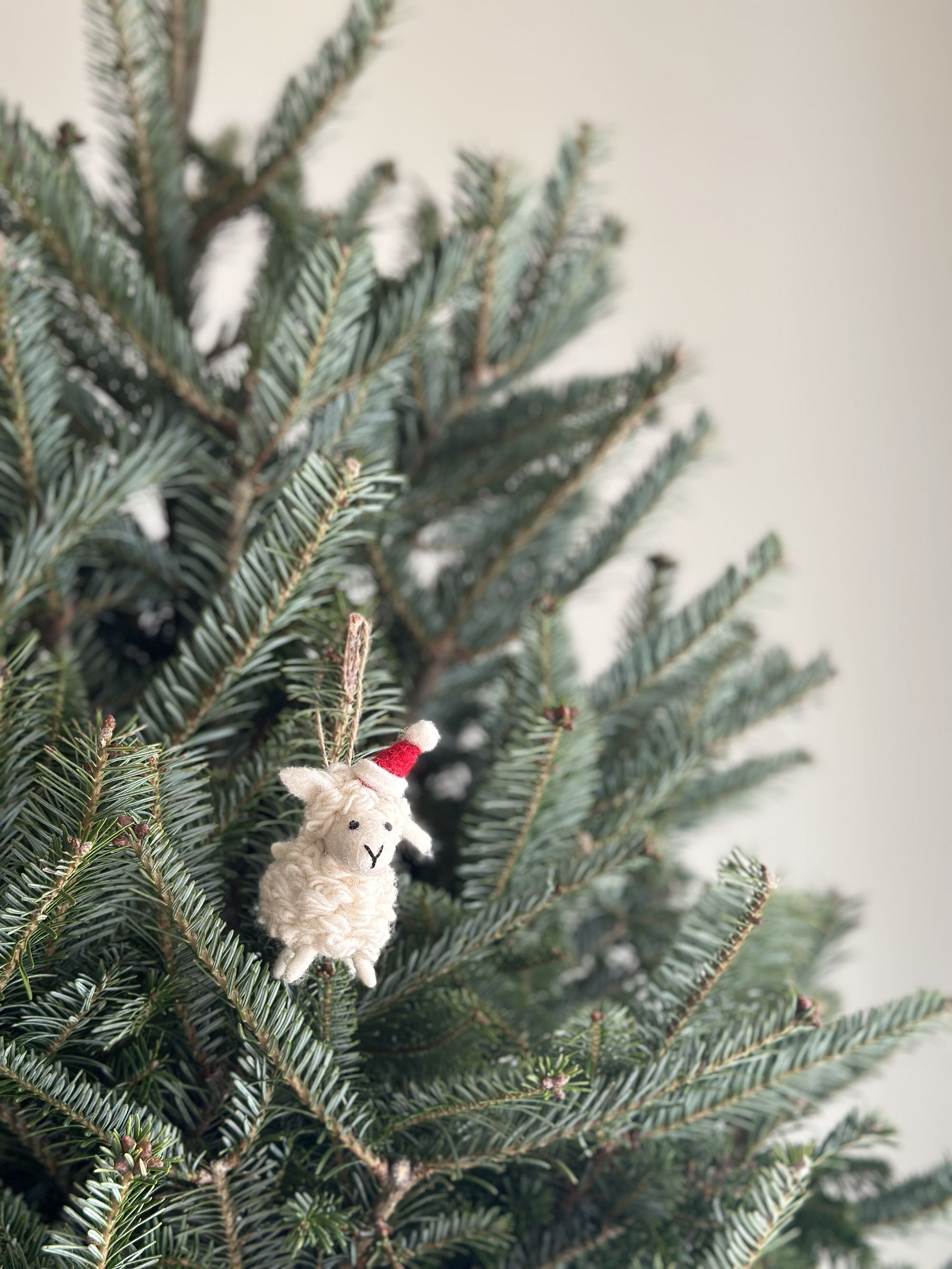 Felt Ornament - Mini Sheep With Christmas Hat