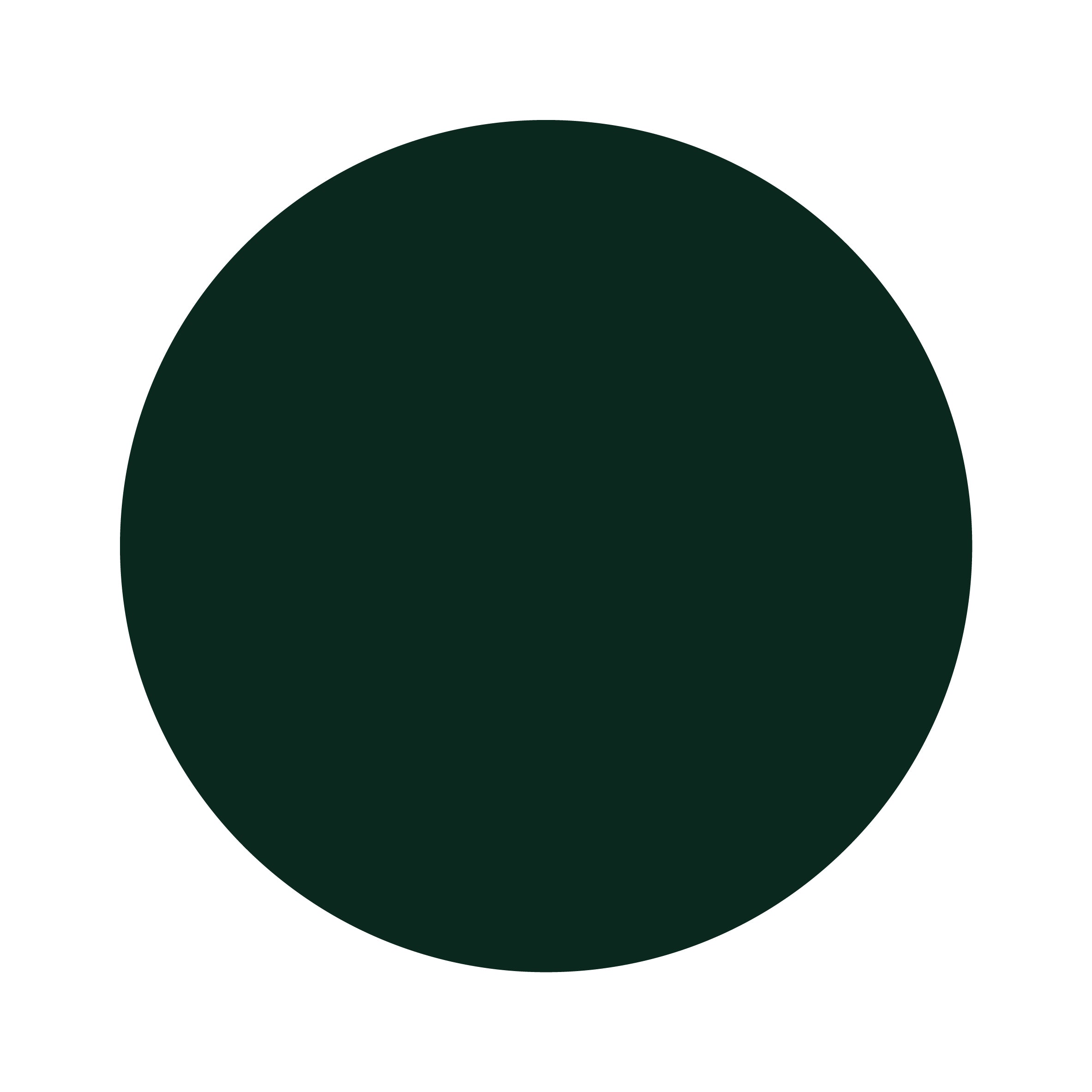 Fern | Bamboo Scrunchie